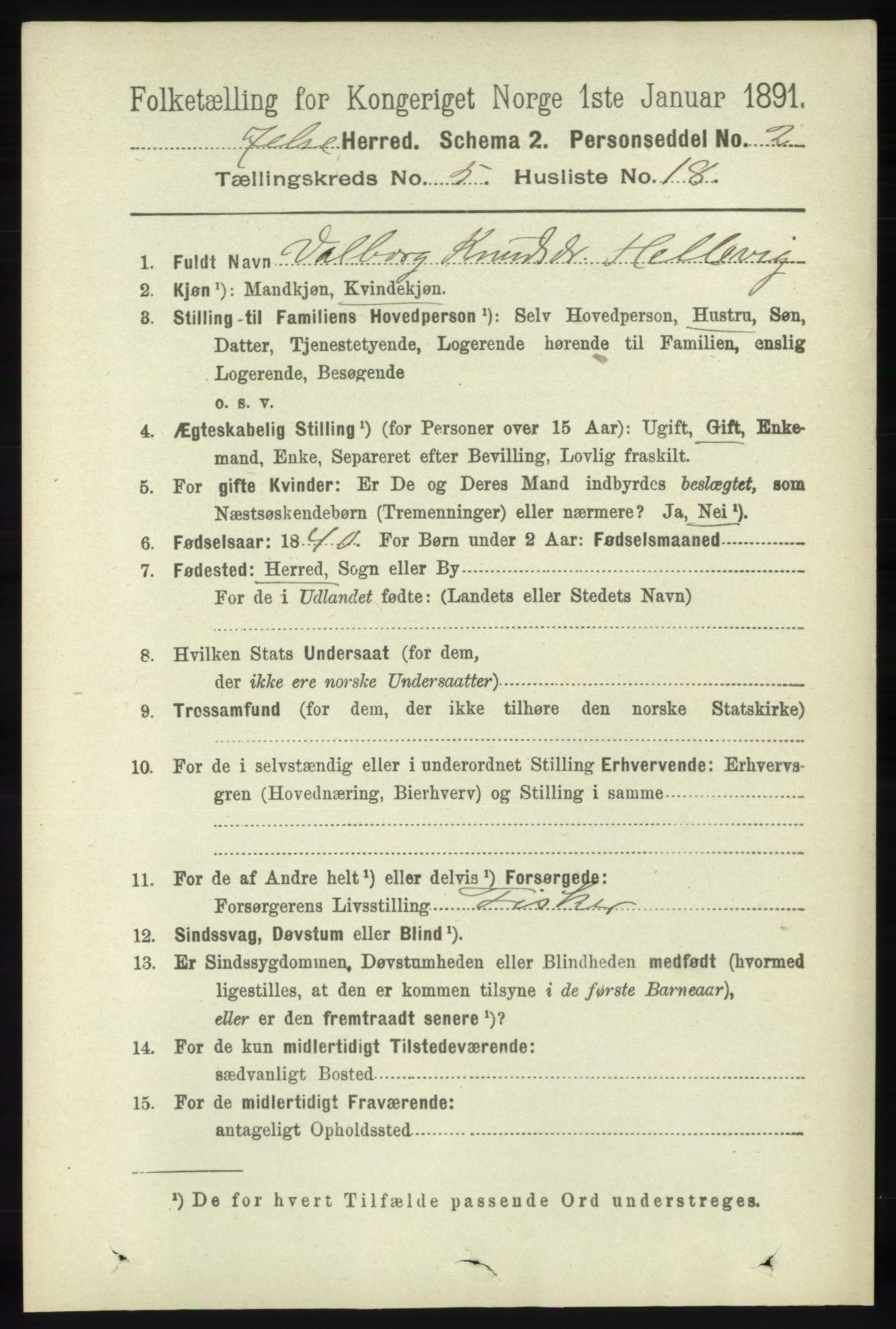 RA, 1891 census for 1138 Jelsa, 1891, p. 1145