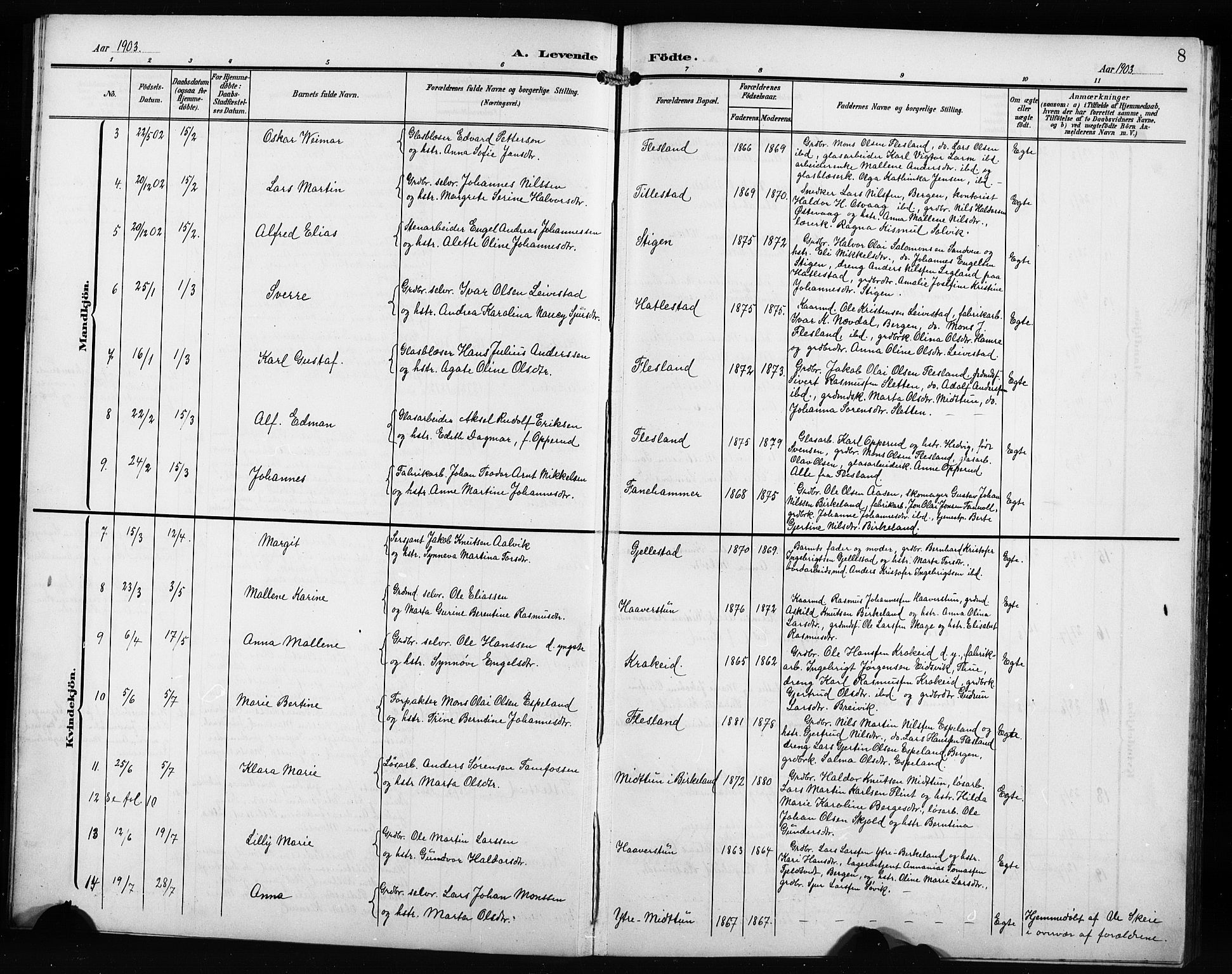 Fana Sokneprestembete, AV/SAB-A-75101/H/Hab/Haba/L0004: Parish register (copy) no. A 4, 1902-1912, p. 8