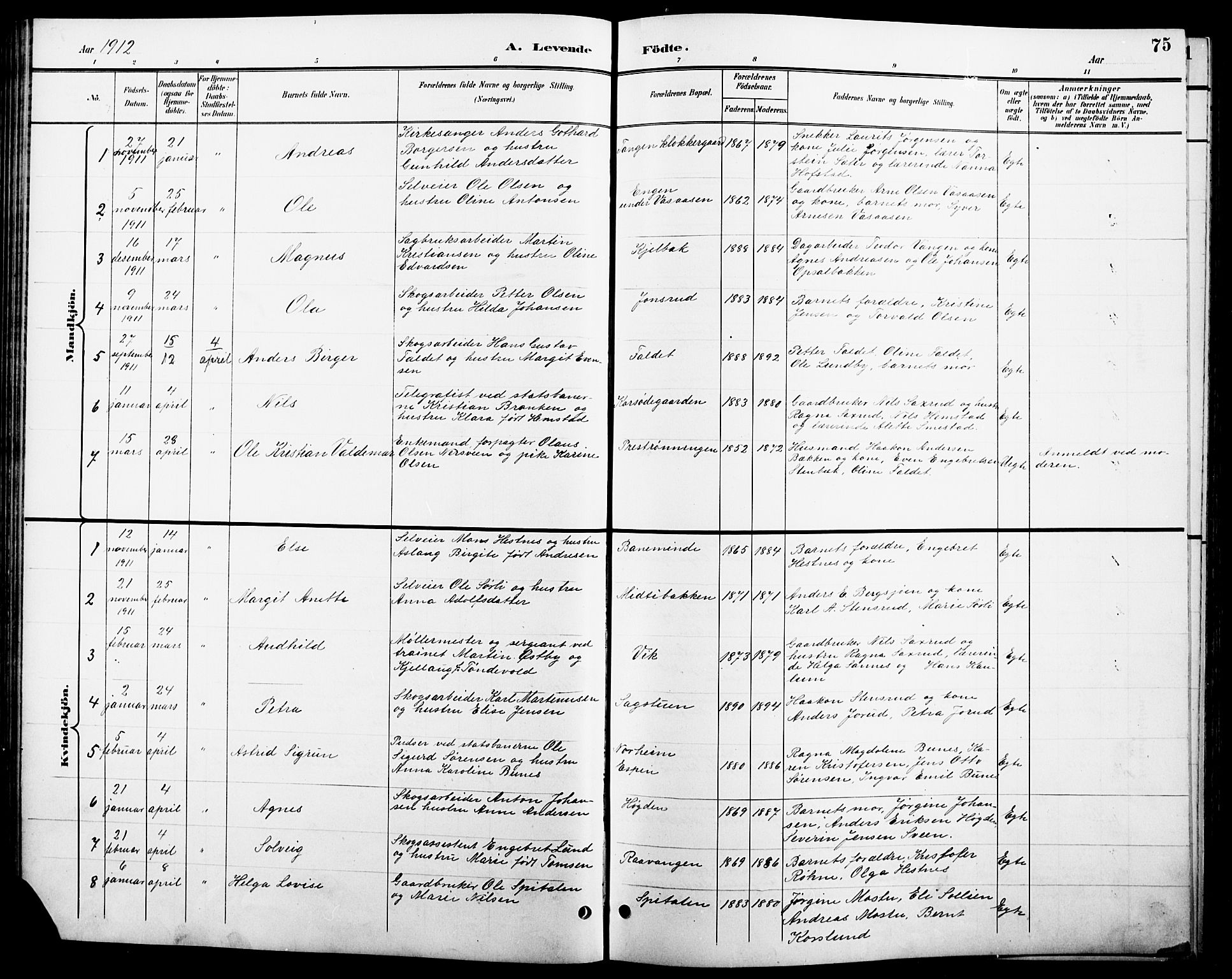 Stange prestekontor, SAH/PREST-002/L/L0011: Parish register (copy) no. 11, 1895-1917, p. 75