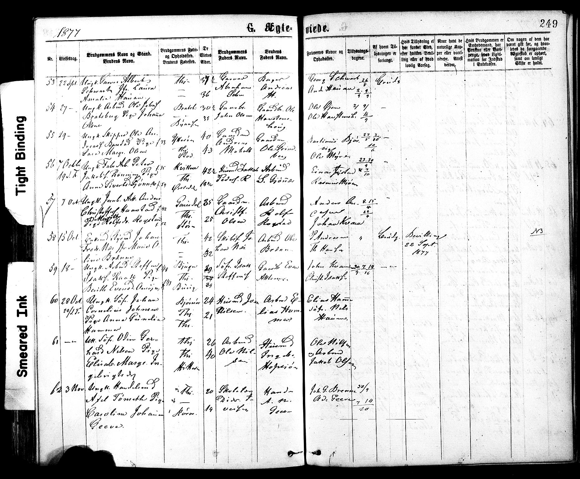 Ministerialprotokoller, klokkerbøker og fødselsregistre - Sør-Trøndelag, AV/SAT-A-1456/602/L0118: Parish register (official) no. 602A16, 1873-1879, p. 249