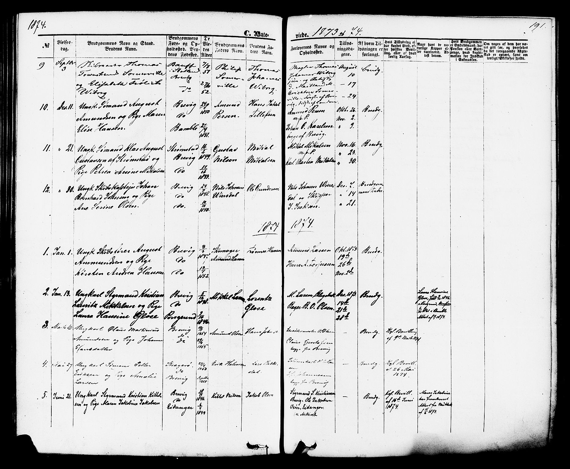 Brevik kirkebøker, SAKO/A-255/F/Fa/L0006: Parish register (official) no. 6, 1866-1881, p. 191