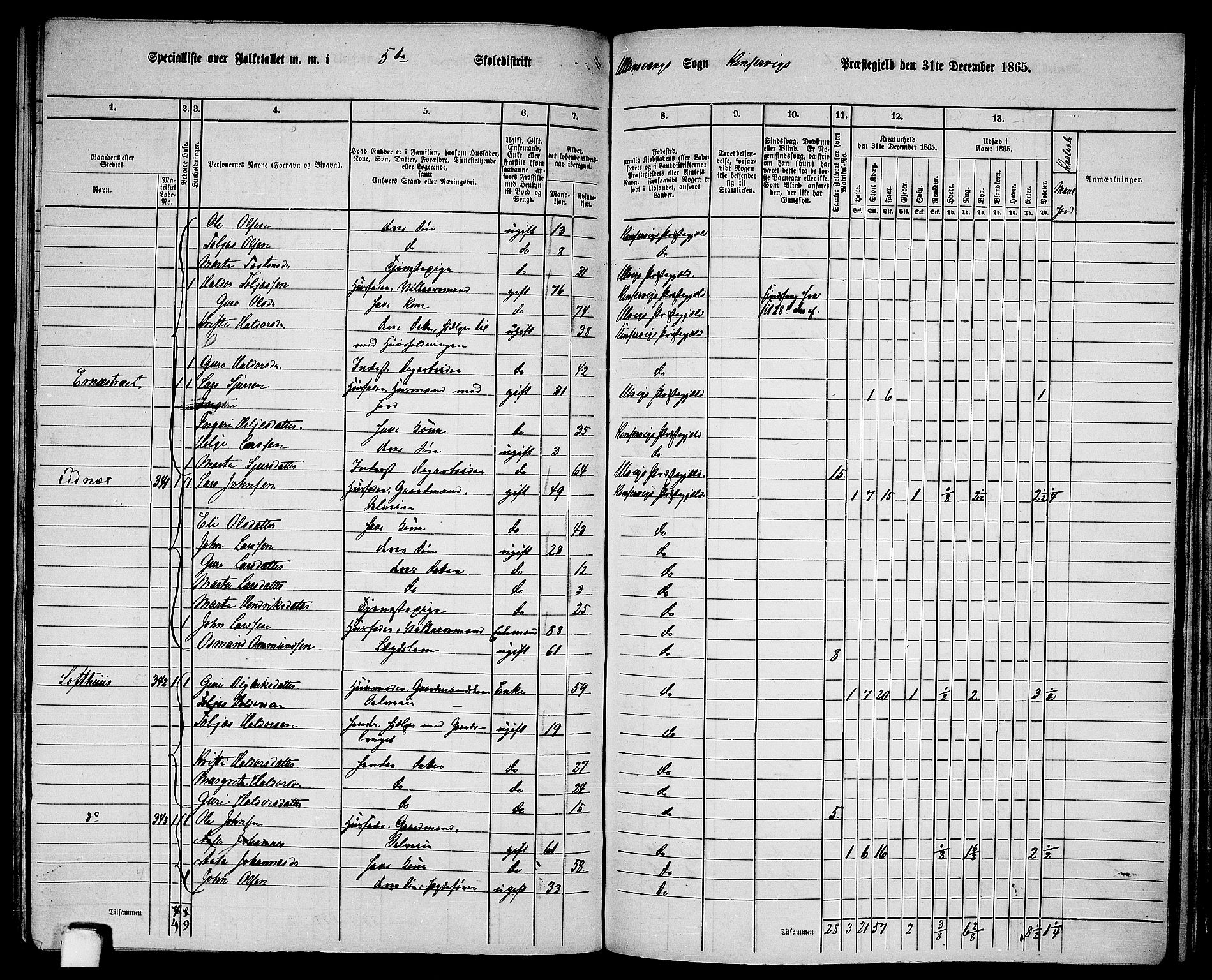 RA, 1865 census for Kinsarvik, 1865, p. 160