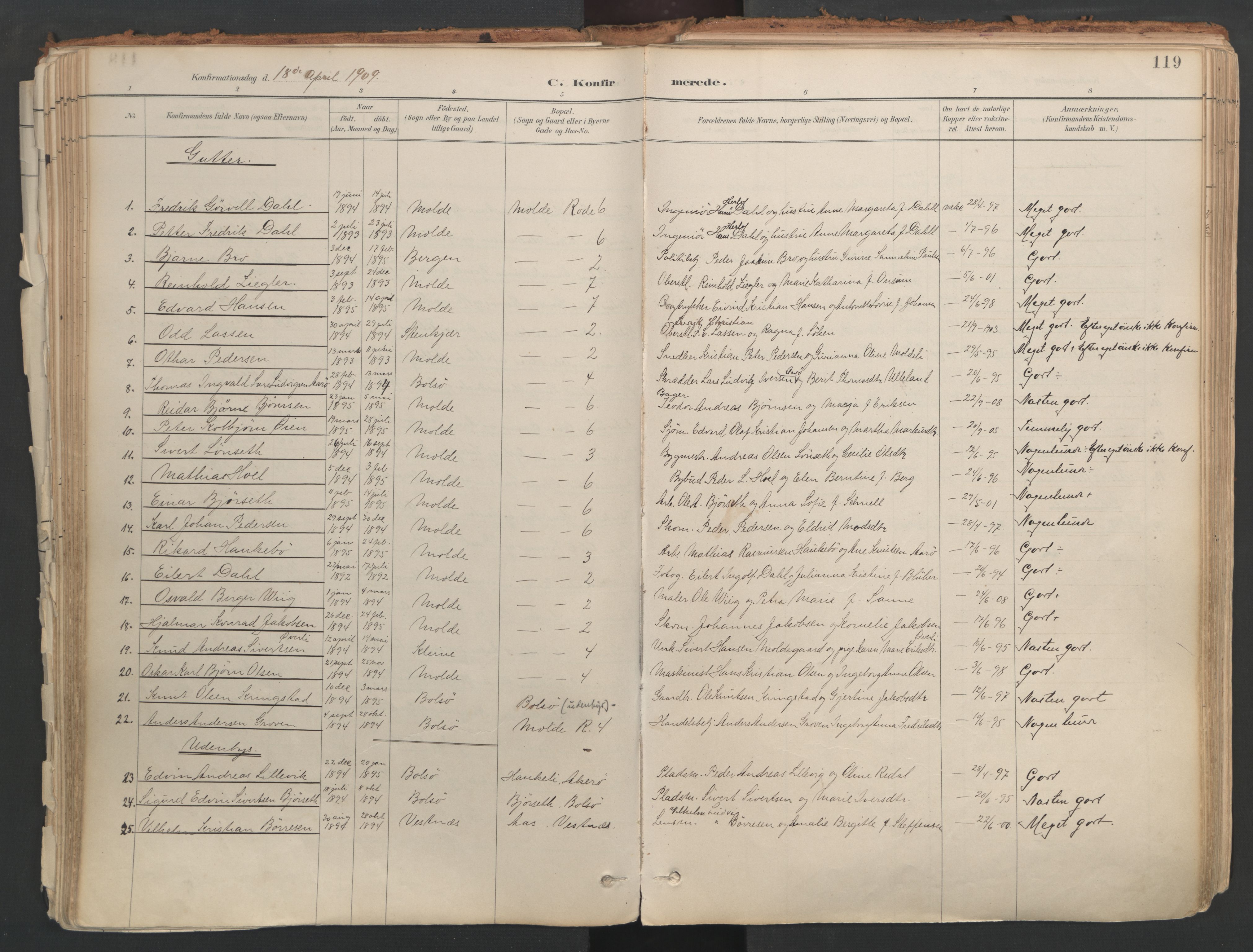 Ministerialprotokoller, klokkerbøker og fødselsregistre - Møre og Romsdal, AV/SAT-A-1454/558/L0692: Parish register (official) no. 558A06, 1887-1971, p. 119