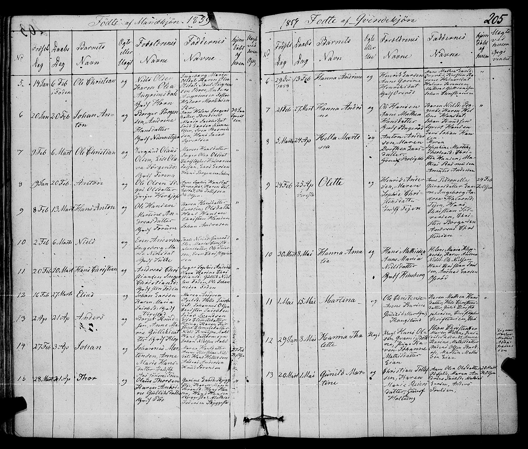 Ramnes kirkebøker, AV/SAKO-A-314/F/Fa/L0005: Parish register (official) no. I 5, 1841-1861, p. 204-205