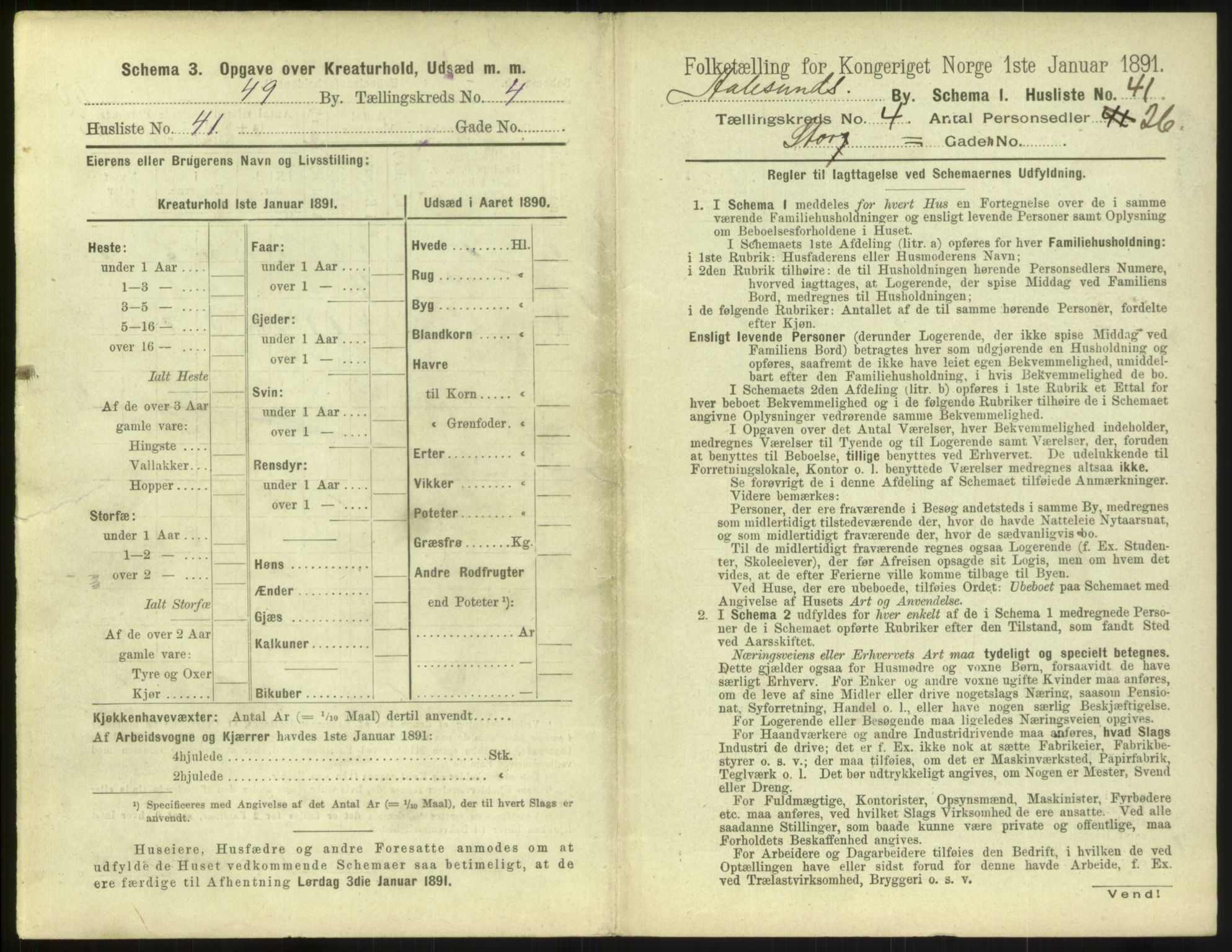 RA, 1891 census for 1501 Ålesund, 1891, p. 376