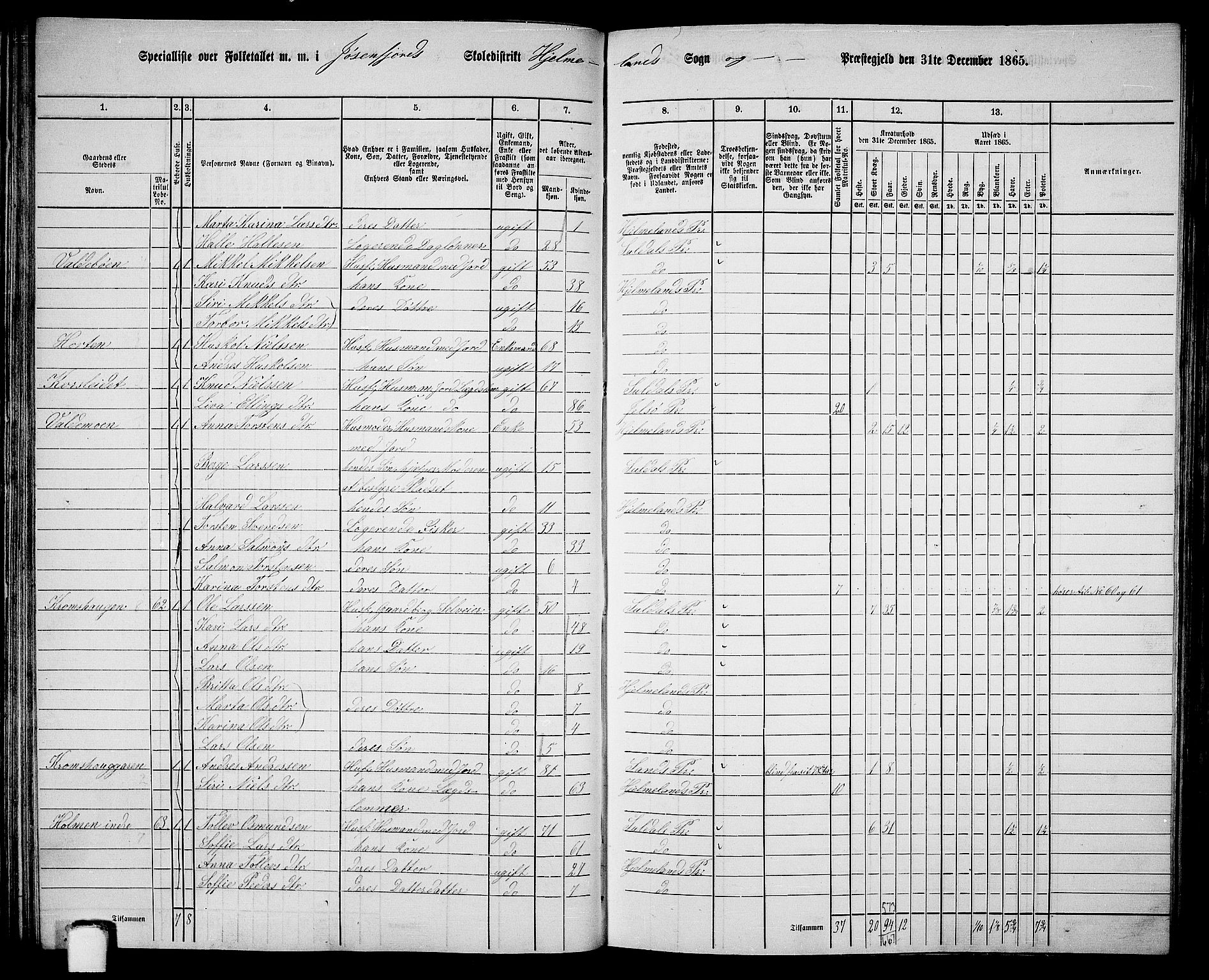 RA, 1865 census for Hjelmeland, 1865, p. 51