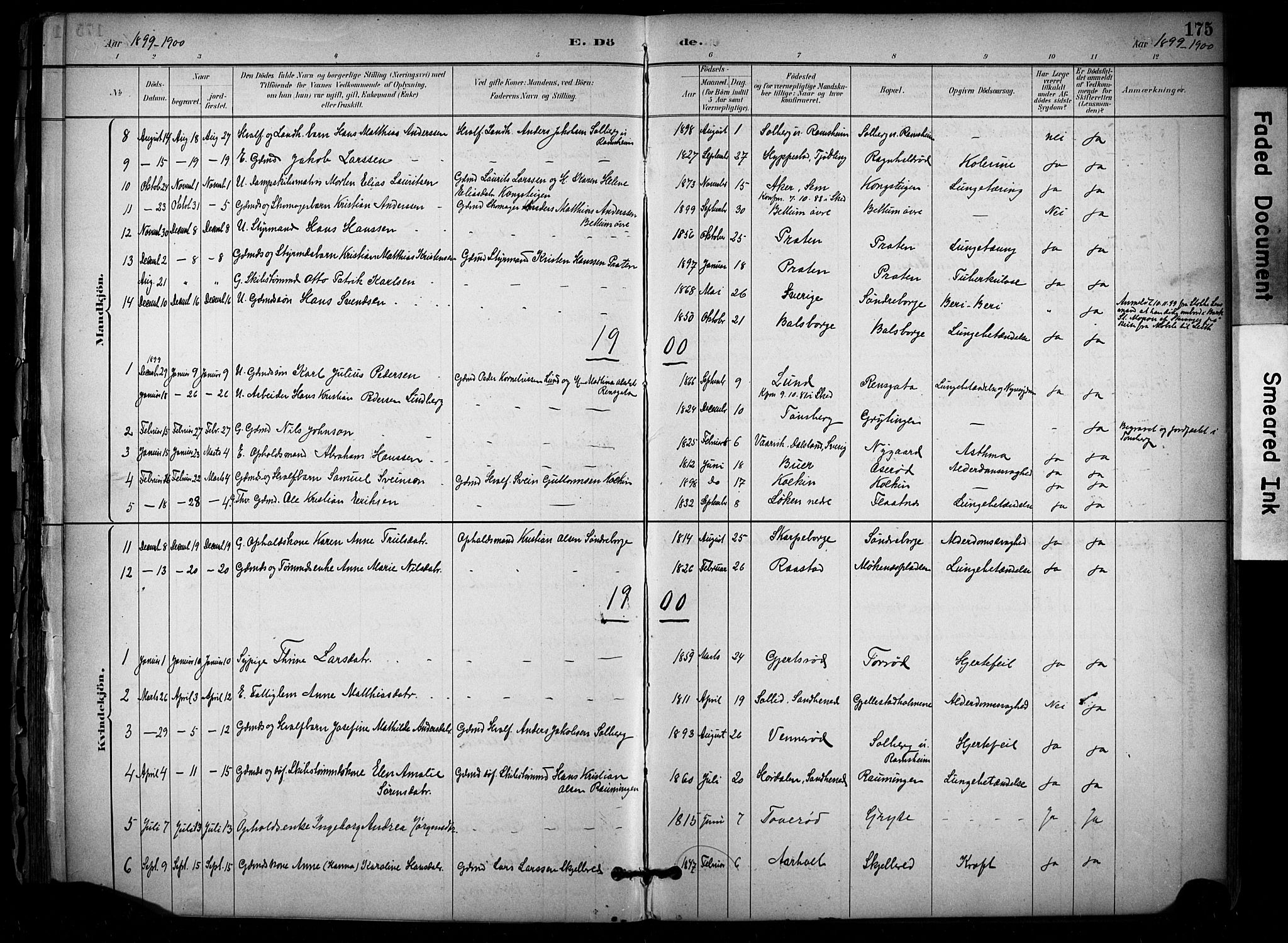 Stokke kirkebøker, AV/SAKO-A-320/F/Fb/L0001: Parish register (official) no. II 1, 1884-1910, p. 175
