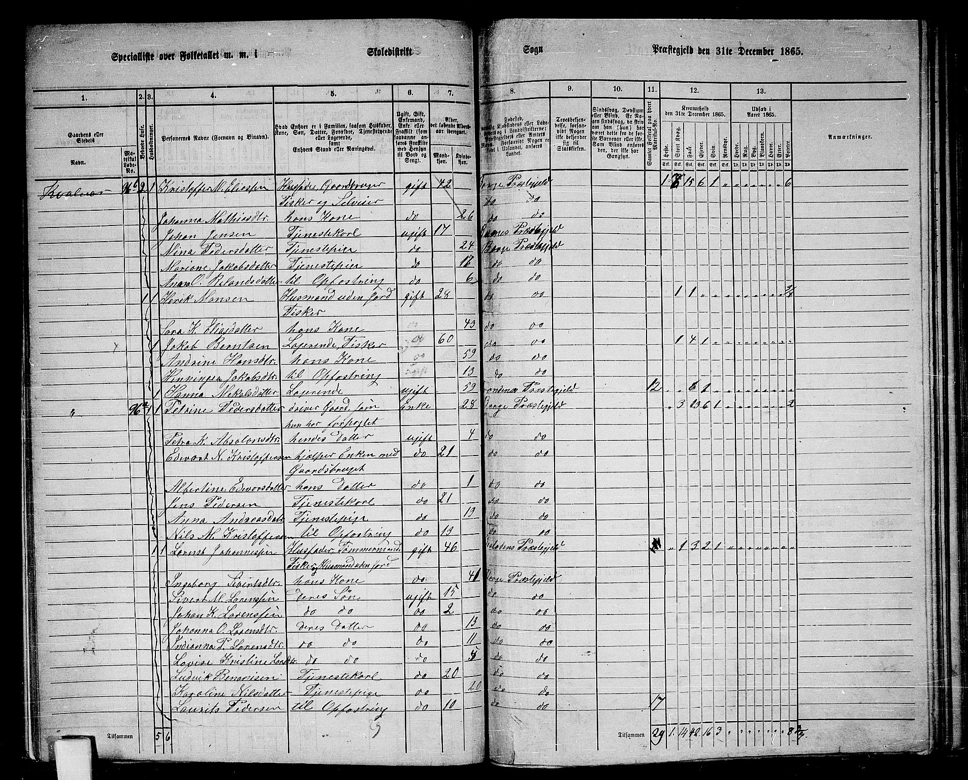 RA, 1865 census for Borge, 1865, p. 50