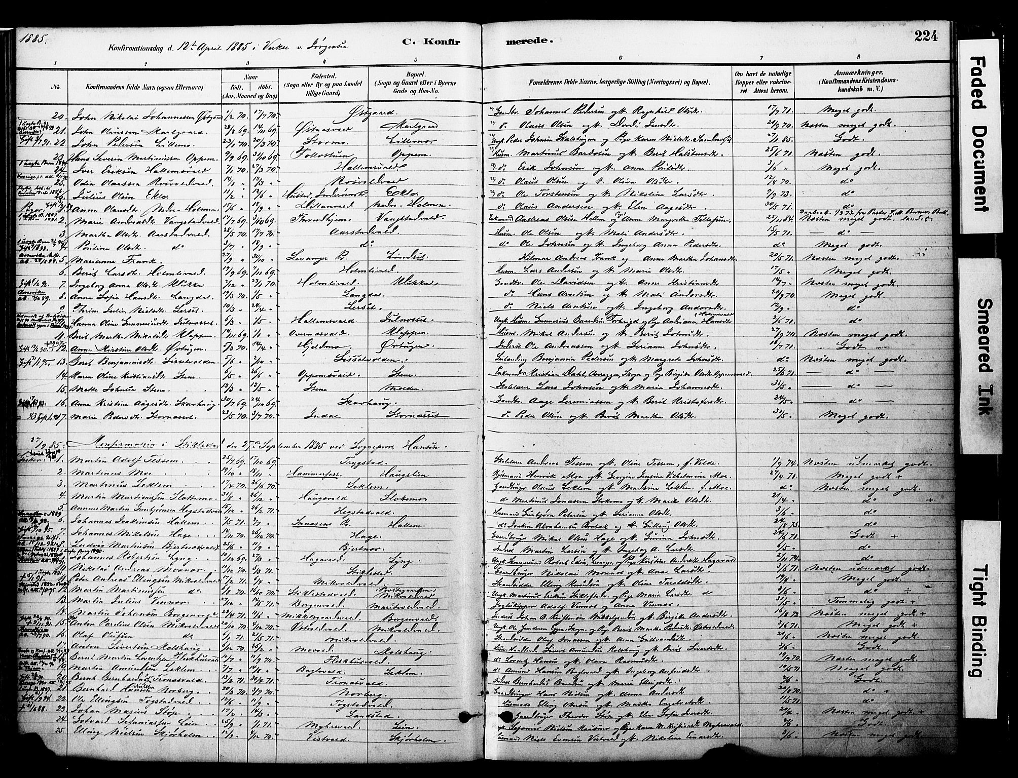 Ministerialprotokoller, klokkerbøker og fødselsregistre - Nord-Trøndelag, SAT/A-1458/723/L0244: Parish register (official) no. 723A13, 1881-1899, p. 224