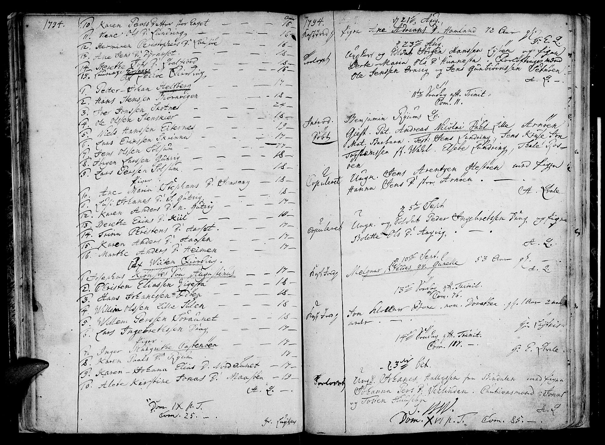 Ministerialprotokoller, klokkerbøker og fødselsregistre - Nord-Trøndelag, AV/SAT-A-1458/784/L0666: Parish register (official) no. 784A02, 1785-1815