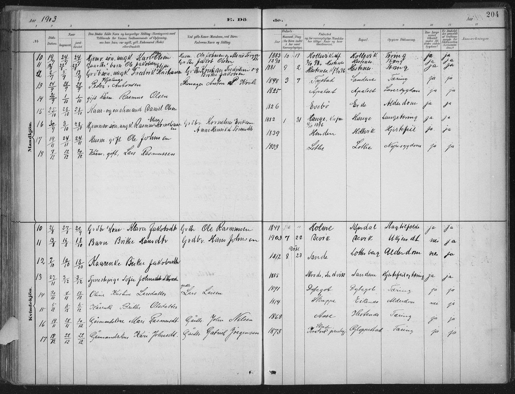 Gloppen sokneprestembete, AV/SAB-A-80101/H/Haa/Haab/L0001: Parish register (official) no. B  1, 1885-1905, p. 204