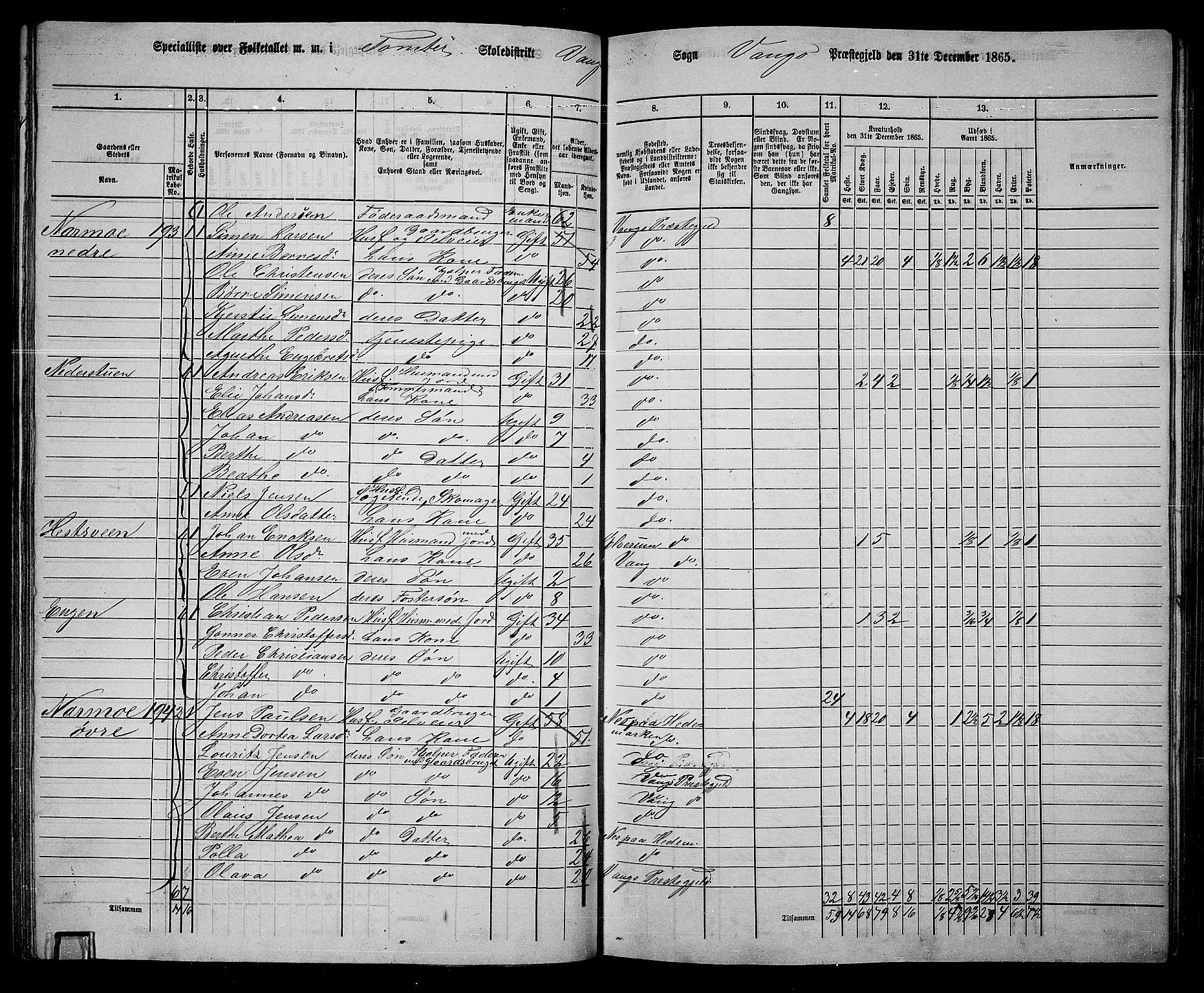 RA, 1865 census for Vang/Vang og Furnes, 1865, p. 229