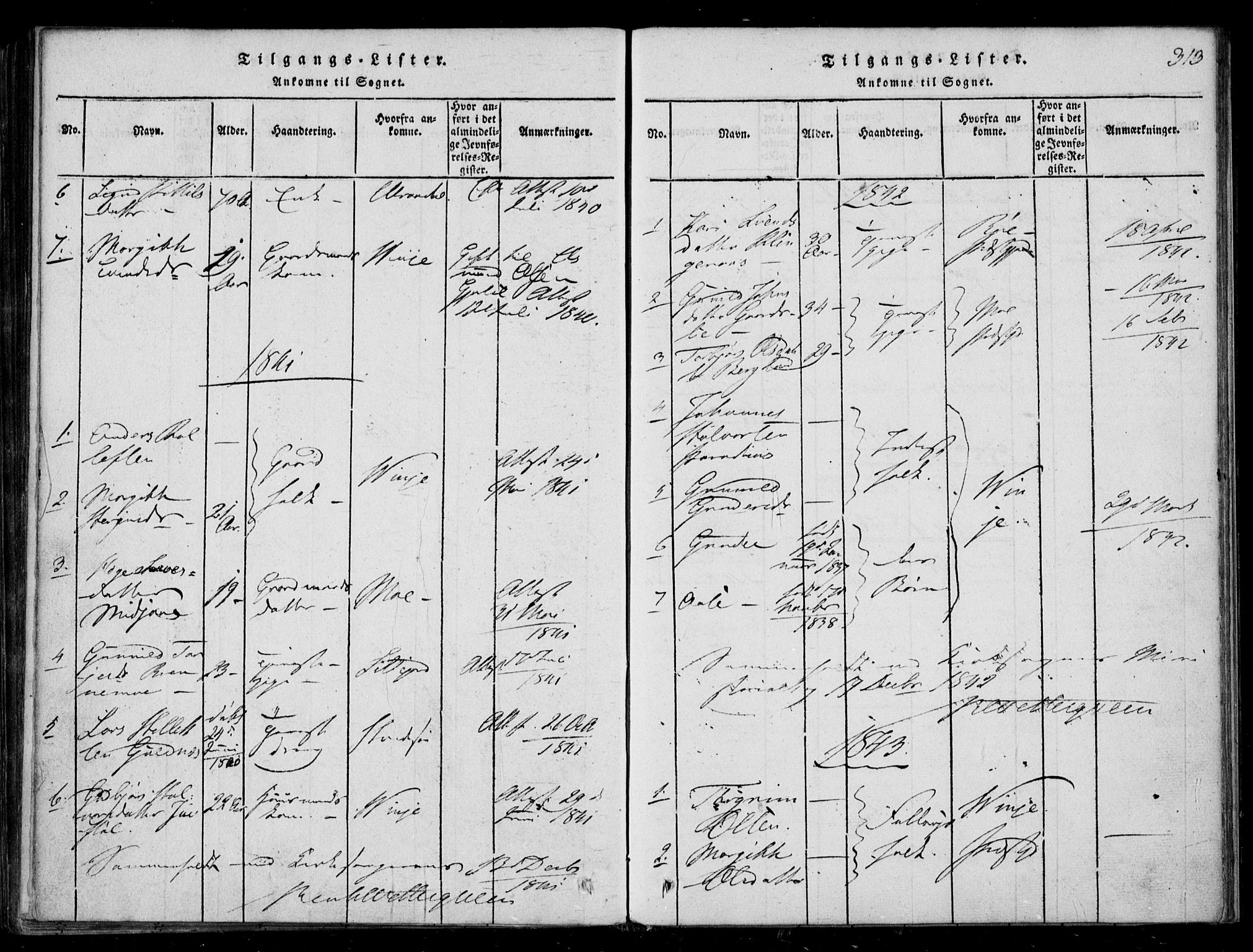 Lårdal kirkebøker, SAKO/A-284/F/Fb/L0001: Parish register (official) no. II 1, 1815-1860, p. 313