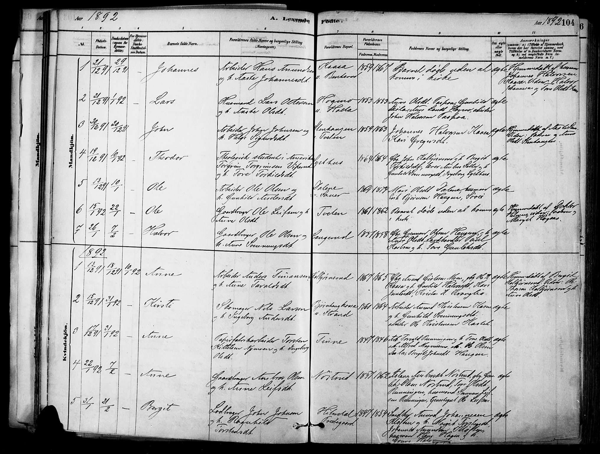 Heddal kirkebøker, SAKO/A-268/F/Fa/L0008: Parish register (official) no. I 8, 1878-1903, p. 104