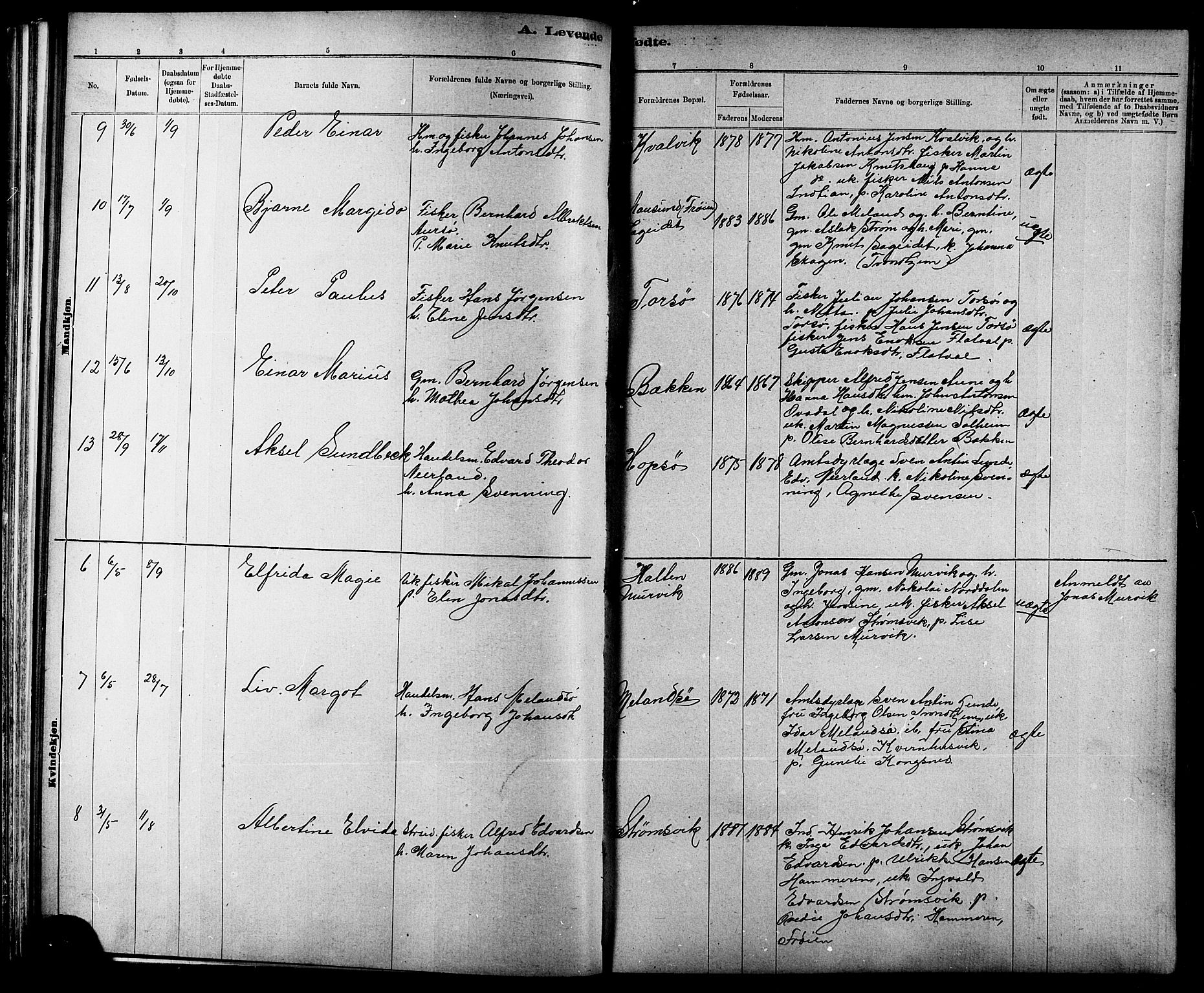 Ministerialprotokoller, klokkerbøker og fødselsregistre - Sør-Trøndelag, AV/SAT-A-1456/634/L0542: Parish register (copy) no. 634C04, 1892-1916