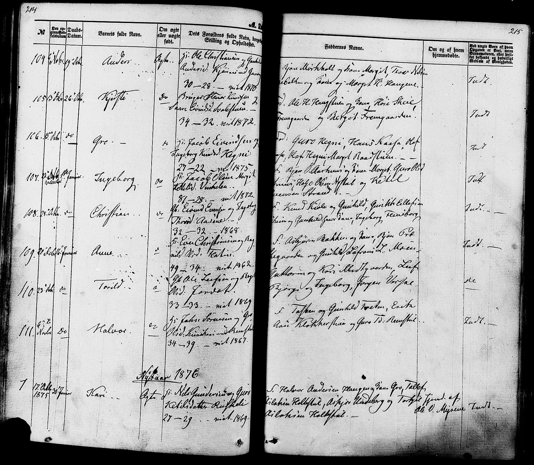 Seljord kirkebøker, SAKO/A-20/F/Fa/L0013: Parish register (official) no. I 13, 1866-1876, p. 214-215