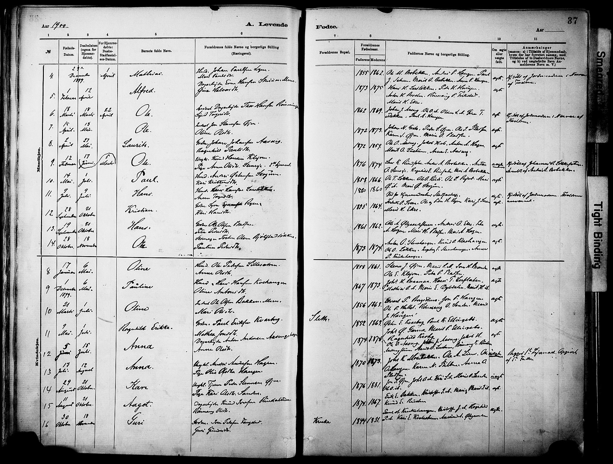 Vågå prestekontor, SAH/PREST-076/H/Ha/Haa/L0010: Parish register (official) no. 10, 1887-1904, p. 37