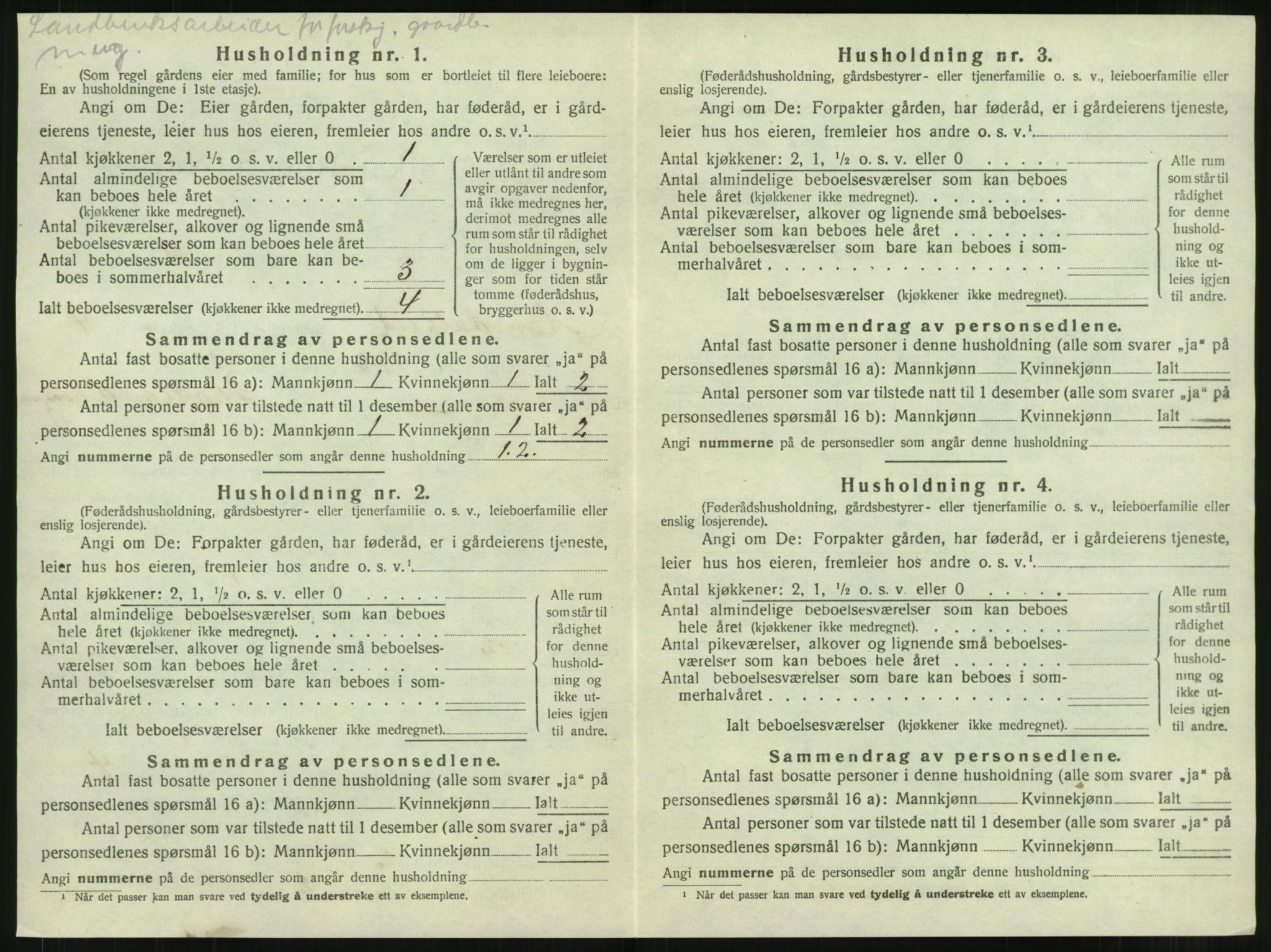 SAT, 1920 census for Namdalseid, 1920, p. 519