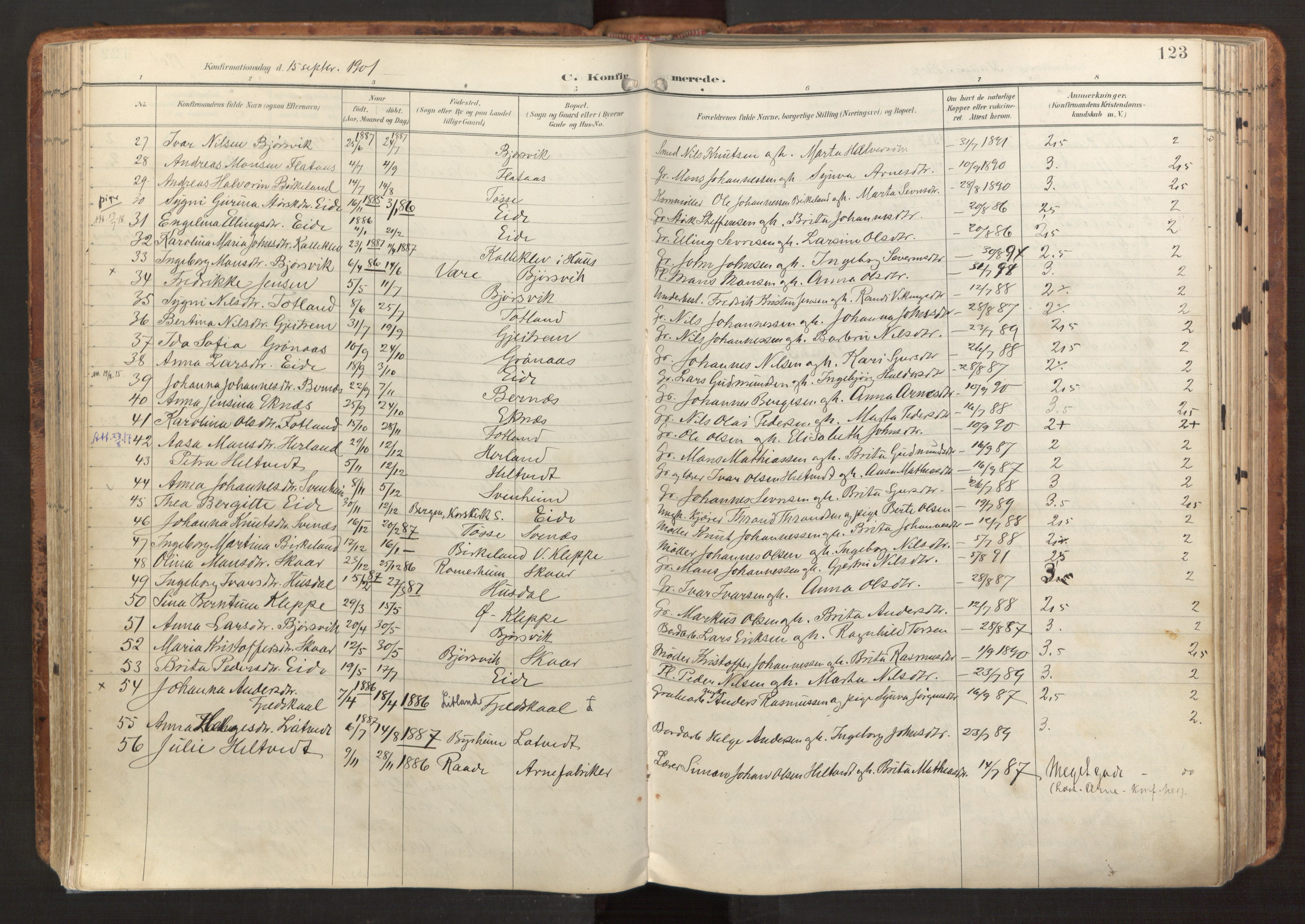 Hosanger sokneprestembete, AV/SAB-A-75801/H/Haa: Parish register (official) no. B 2, 1897-1923, p. 123