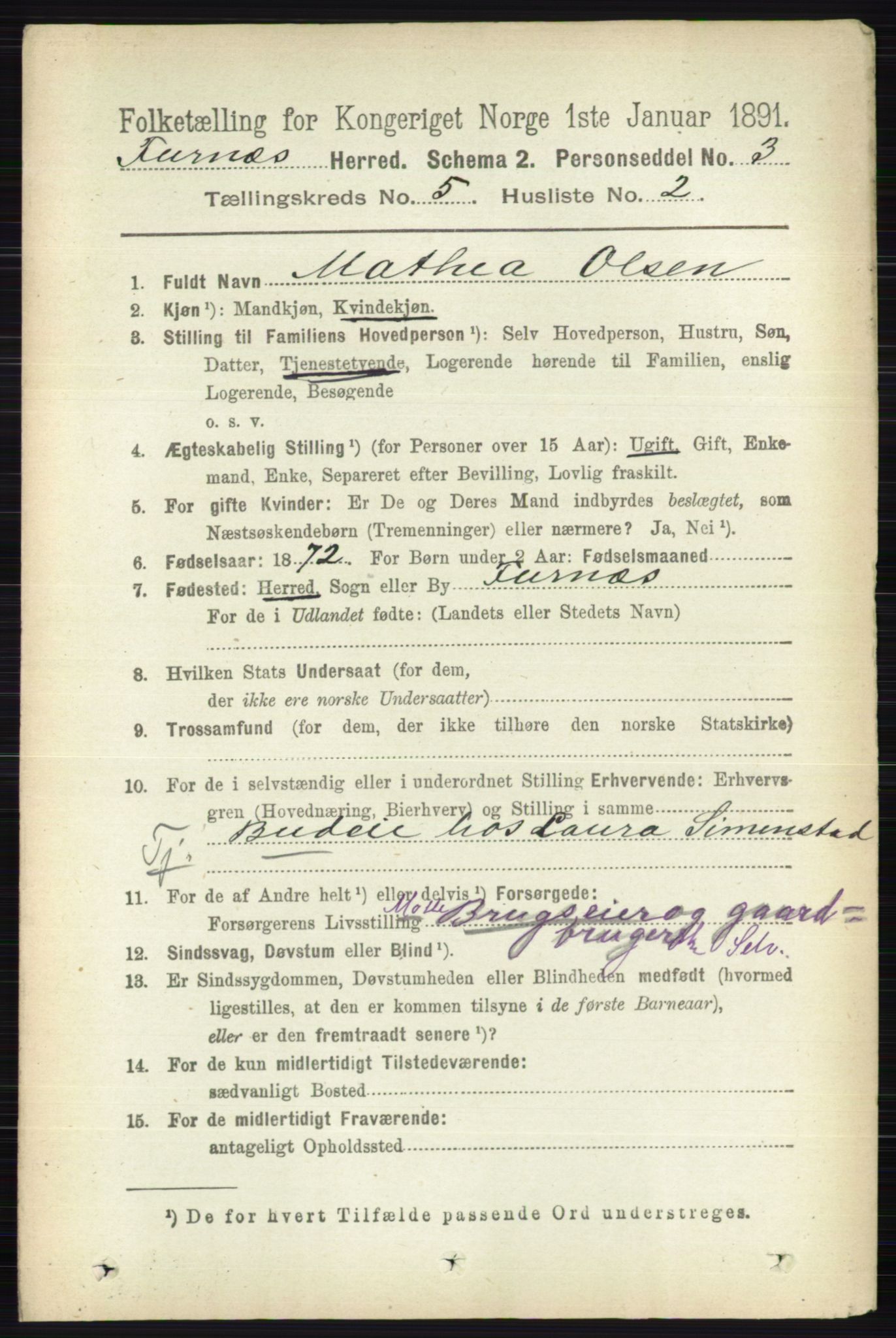 RA, Census 1891 for 0413 Furnes herred, 1891, p. 3163