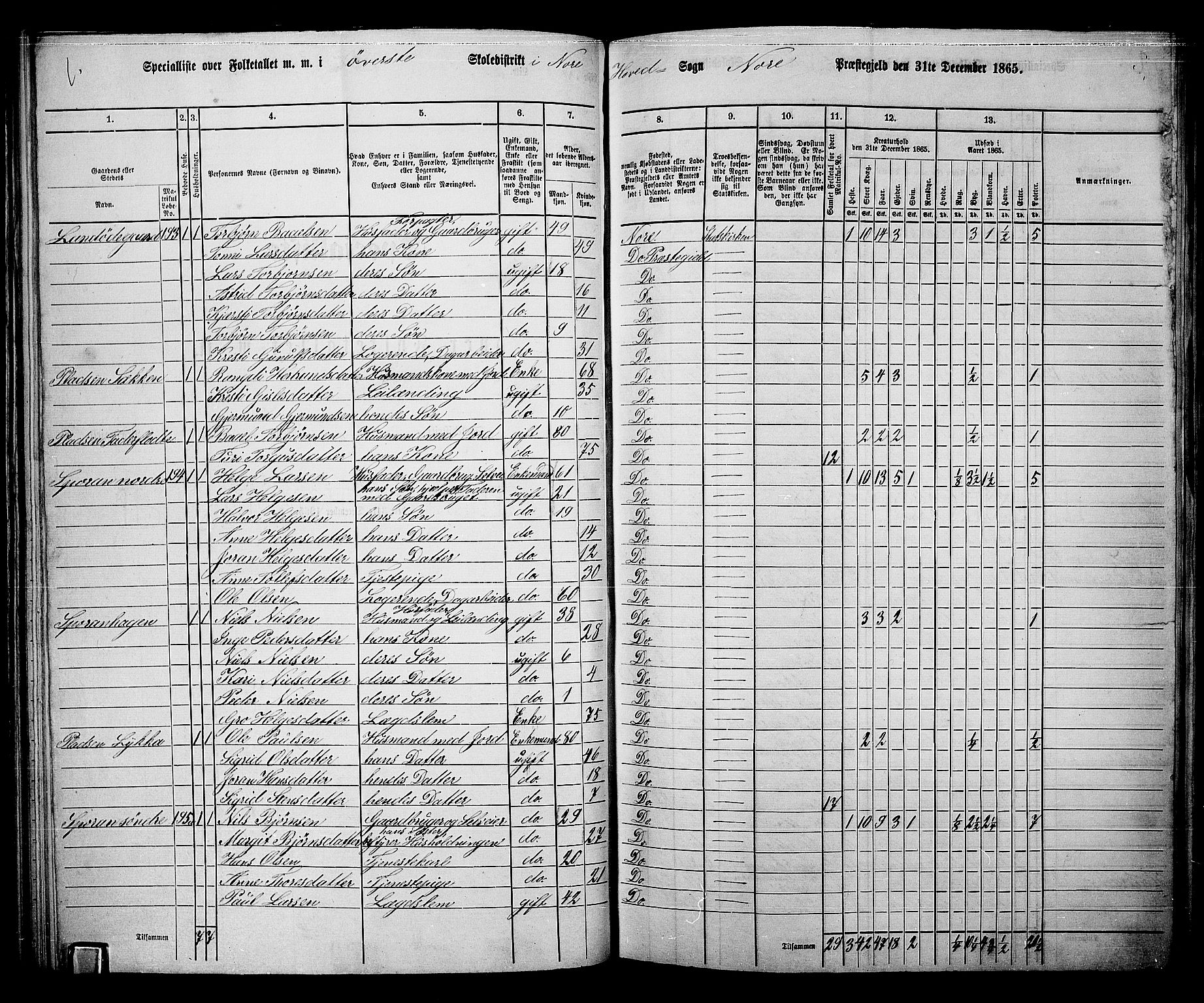 RA, 1865 census for Nore, 1865, p. 70