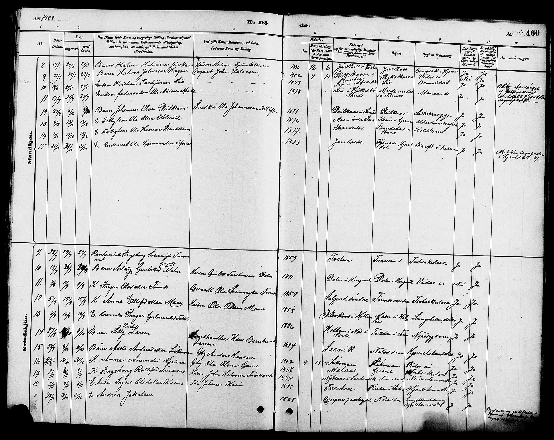 Heddal kirkebøker, SAKO/A-268/G/Ga/L0002: Parish register (copy) no. I 2, 1879-1908, p. 460