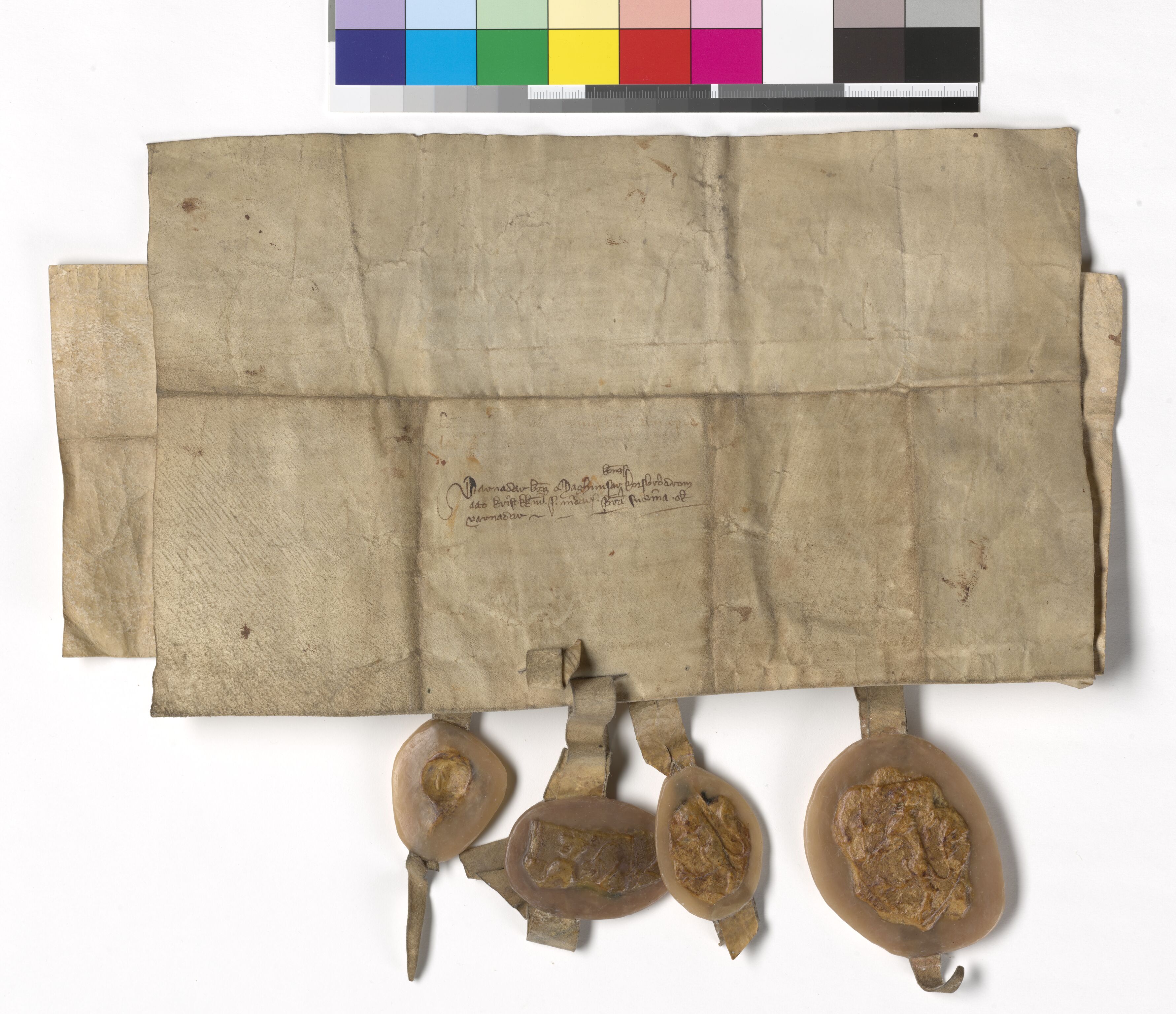 Riksarkivets diplomsamling, AV/RA-EA-5965/F05/L0004: NRA AM fasc. 2 nr. 1-2c, 1301-1339, p. 8