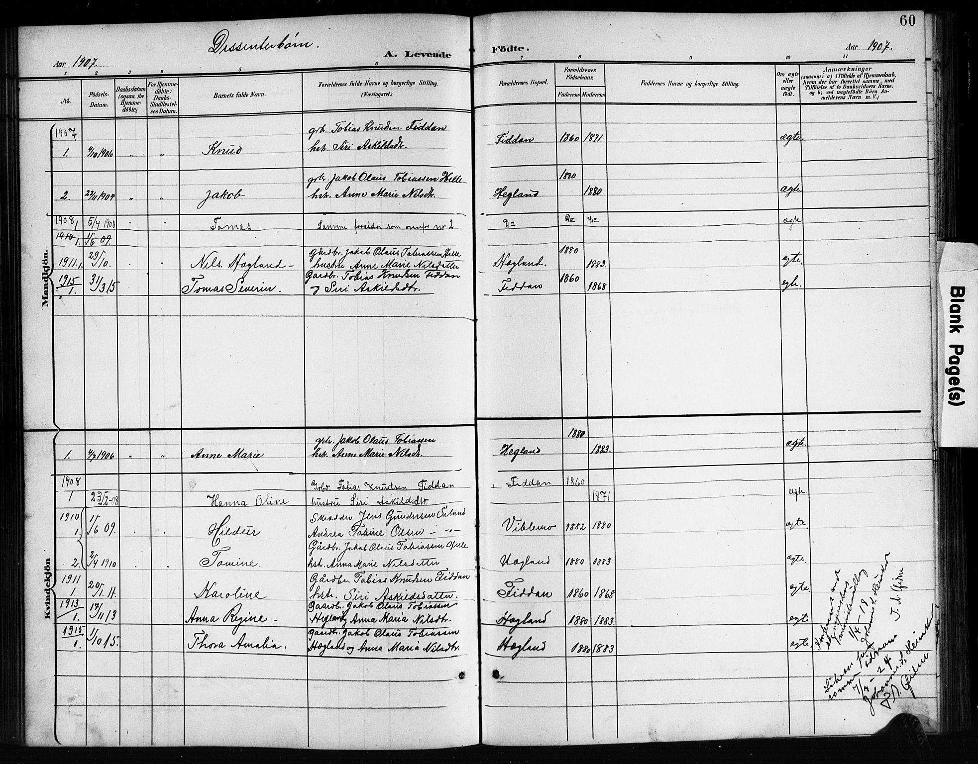 Nord-Audnedal sokneprestkontor, SAK/1111-0032/F/Fb/Fba/L0004: Parish register (copy) no. B 4, 1901-1917, p. 60