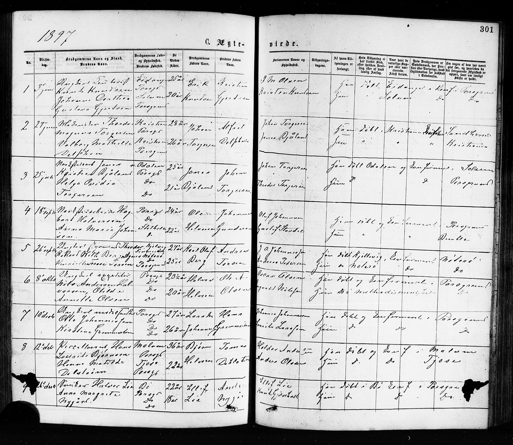 Porsgrunn kirkebøker , SAKO/A-104/G/Ga/L0003: Parish register (copy) no. I 3, 1877-1915, p. 301