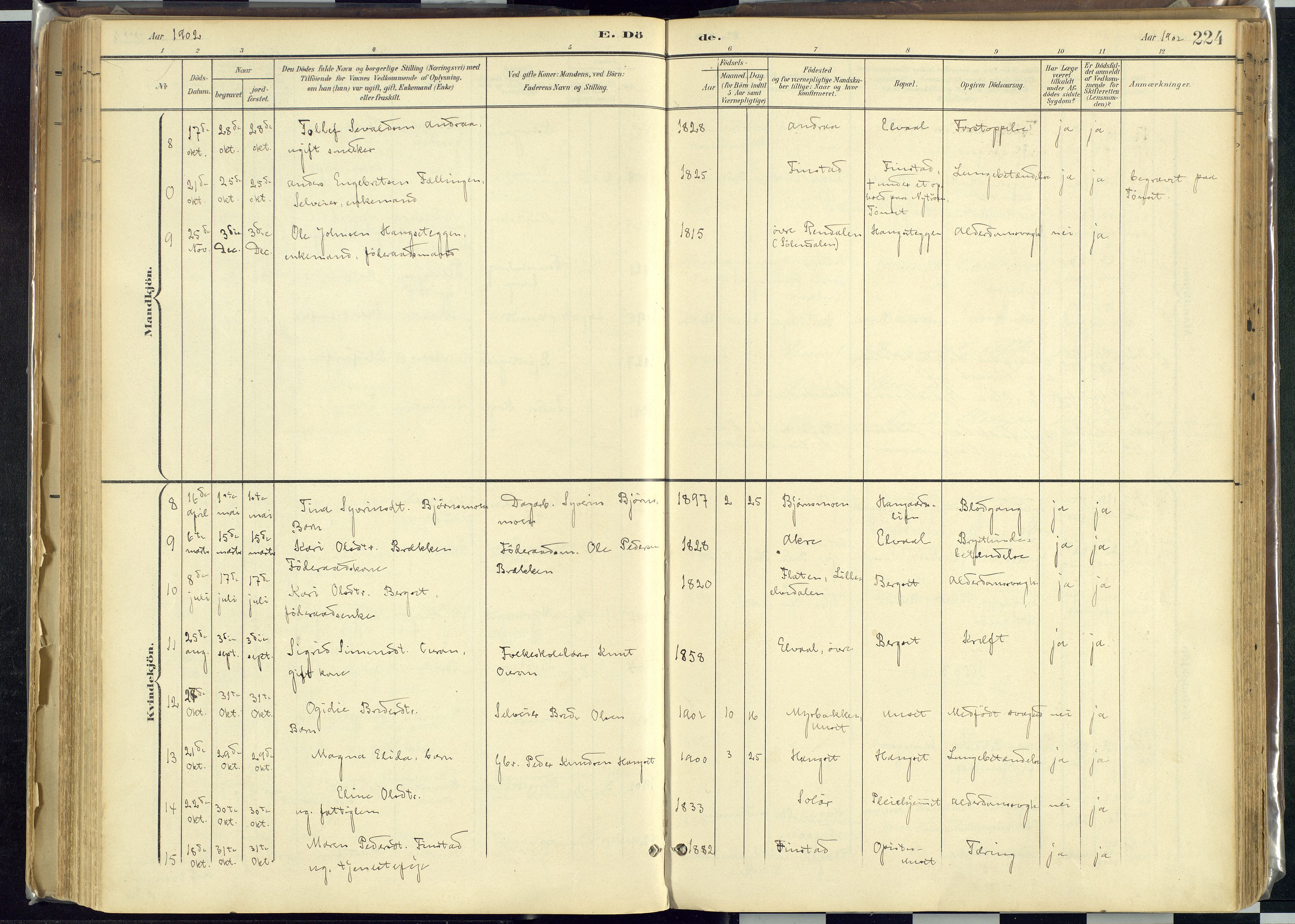 Rendalen prestekontor, AV/SAH-PREST-054/H/Ha/Haa/L0012: Parish register (official) no. 12, 1901-1928, p. 224