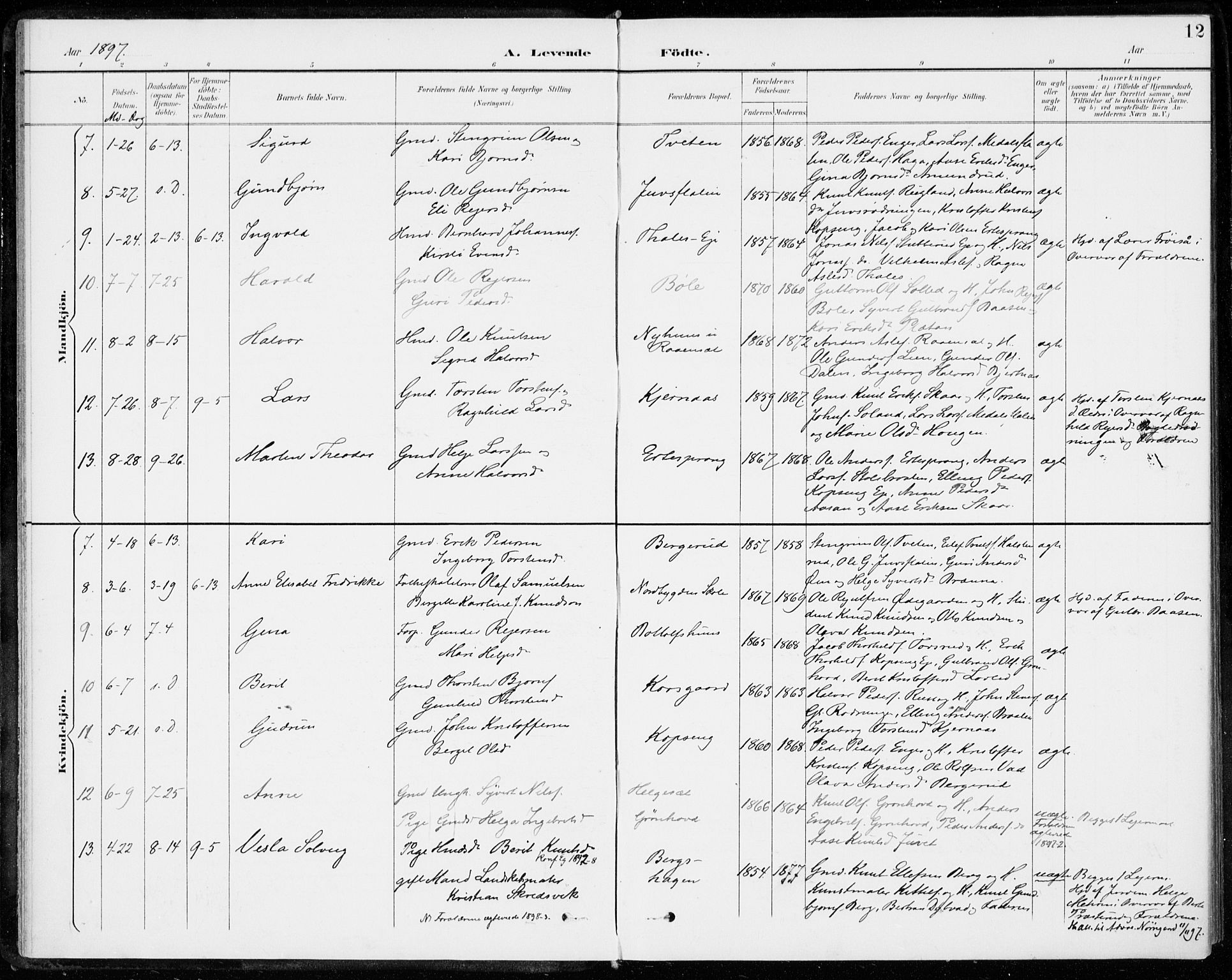 Sigdal kirkebøker, AV/SAKO-A-245/F/Fc/L0002: Parish register (official) no. III 2, 1894-1911, p. 12