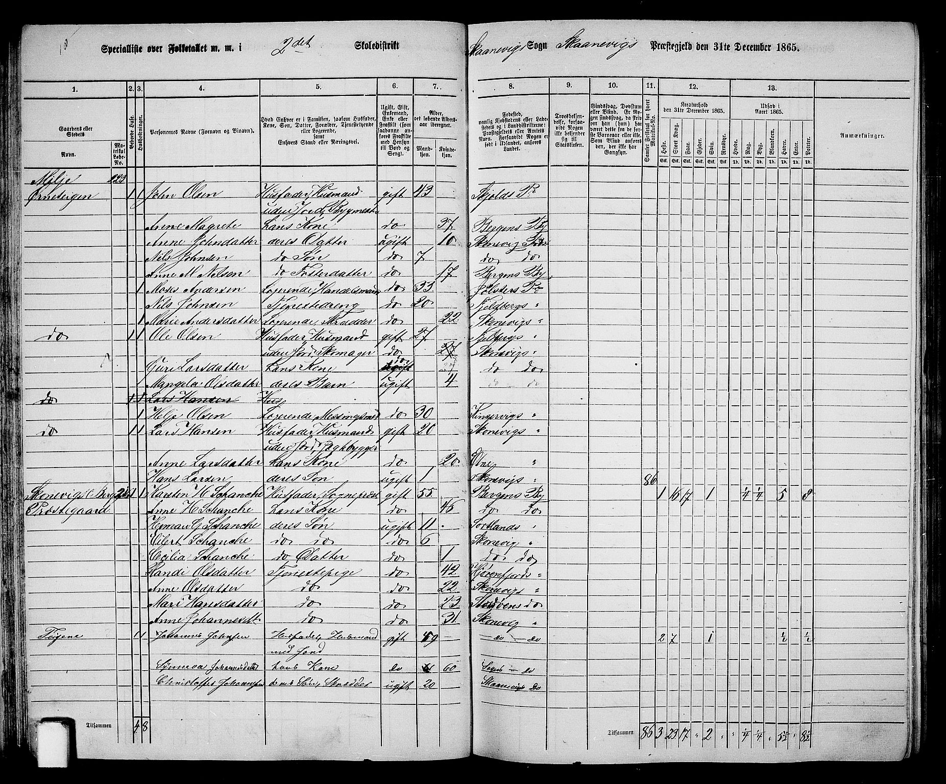 RA, 1865 census for Skånevik, 1865, p. 38