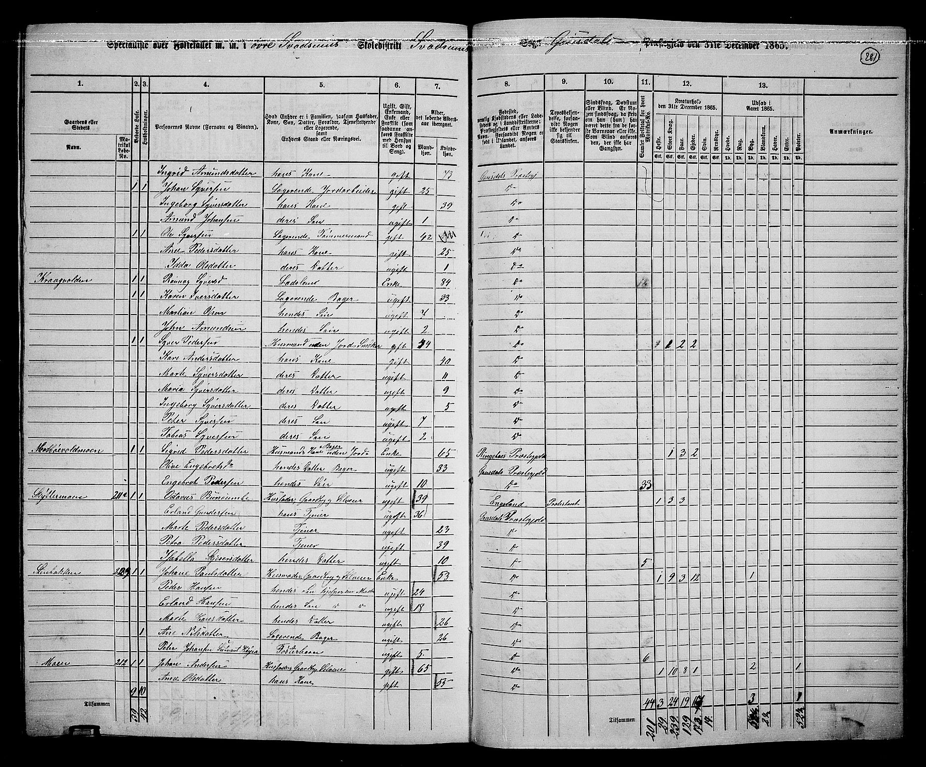 RA, 1865 census for Gausdal, 1865, p. 244