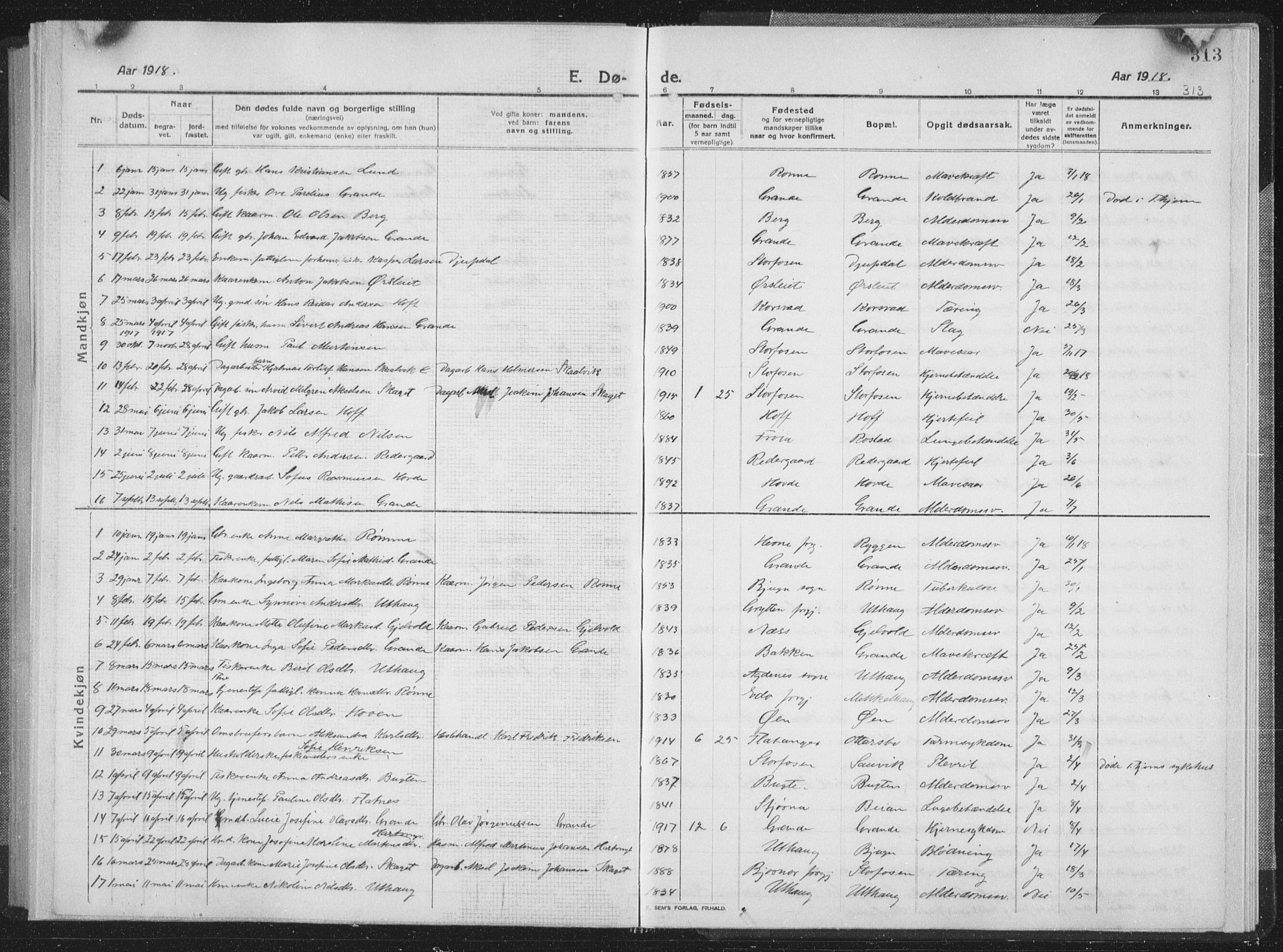 Ministerialprotokoller, klokkerbøker og fødselsregistre - Sør-Trøndelag, SAT/A-1456/659/L0747: Parish register (copy) no. 659C04, 1913-1938, p. 313