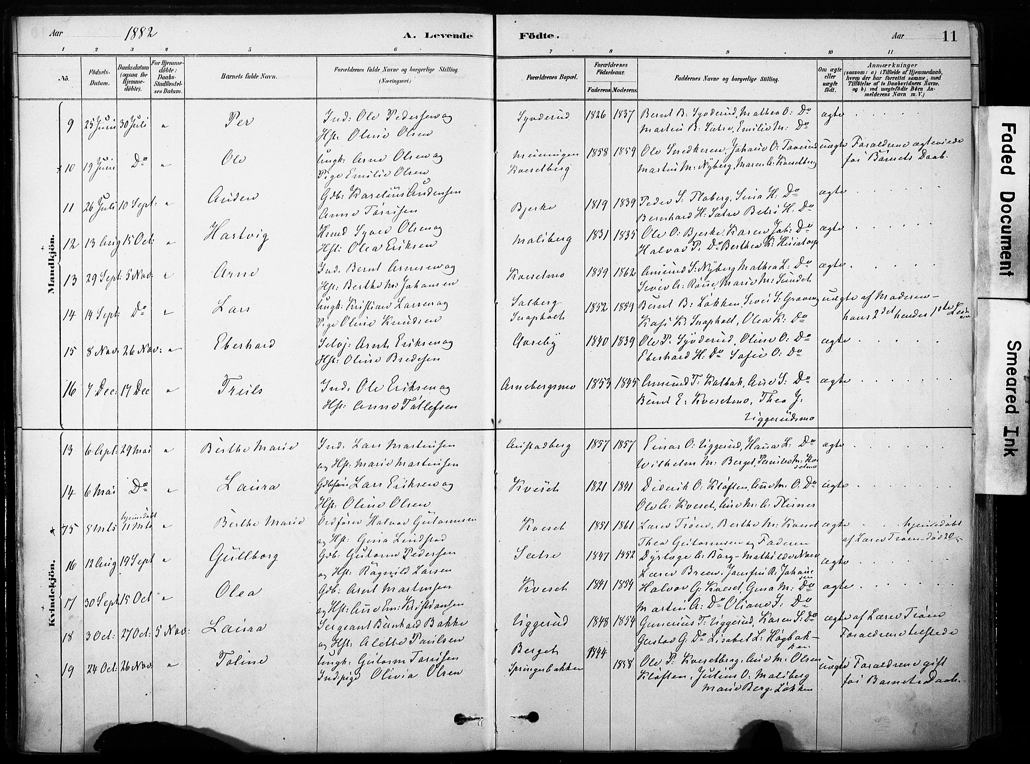 Hof prestekontor, SAH/PREST-038/H/Ha/Haa/L0011: Parish register (official) no. 11, 1879-1911, p. 11