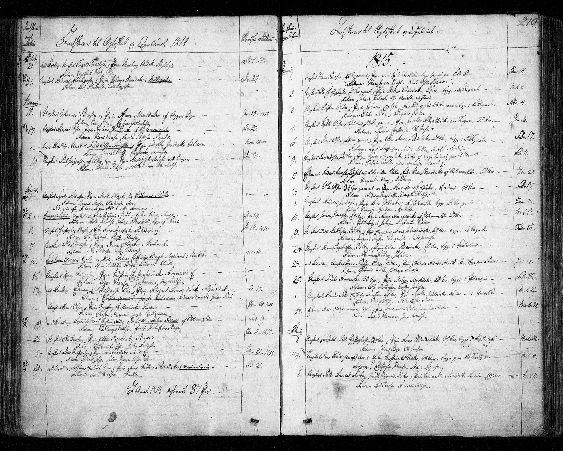 Aker prestekontor kirkebøker, SAO/A-10861/F/L0011: Parish register (official) no. 11, 1810-1819, p. 219