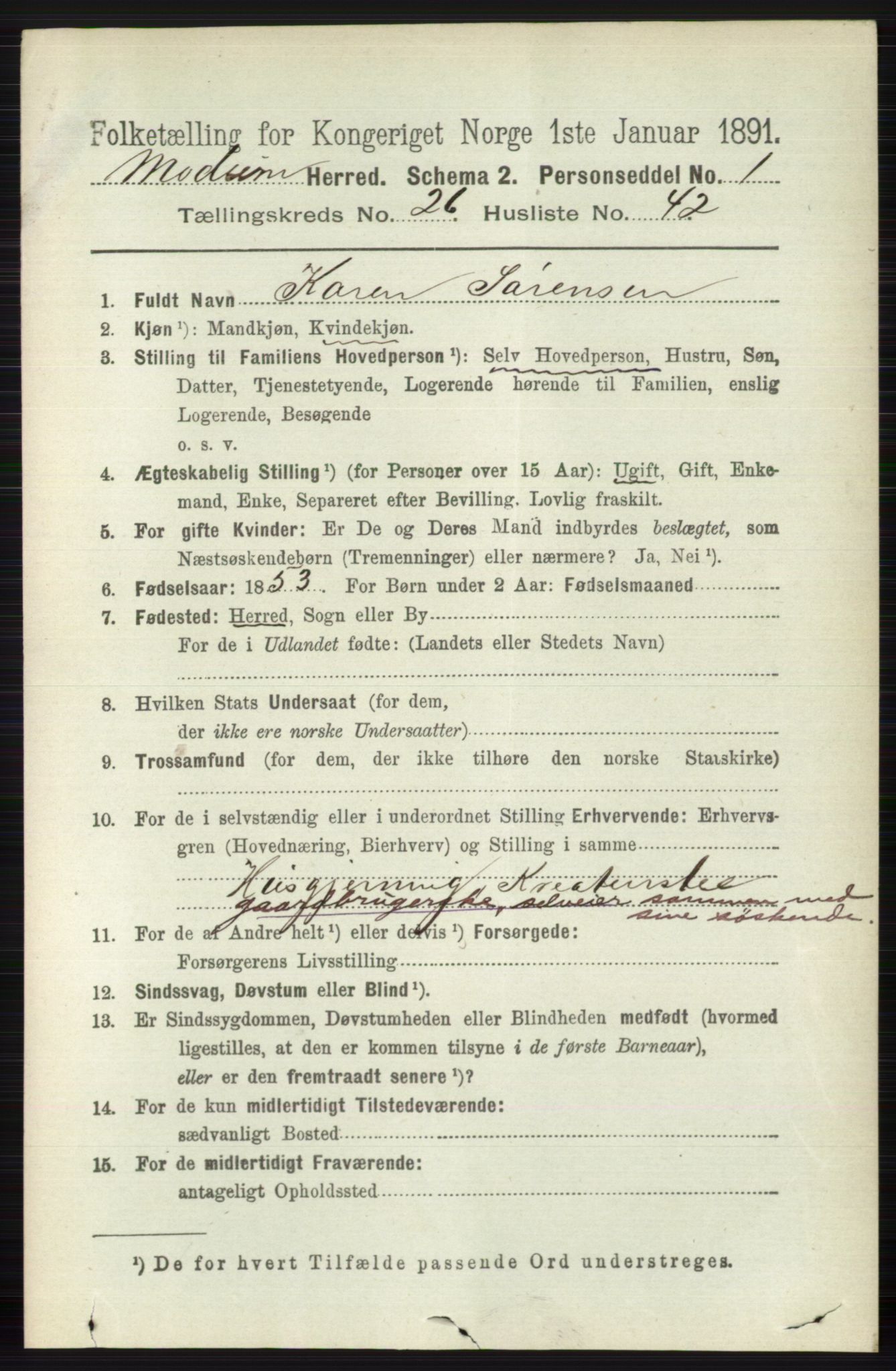 RA, 1891 census for 0623 Modum, 1891, p. 9631