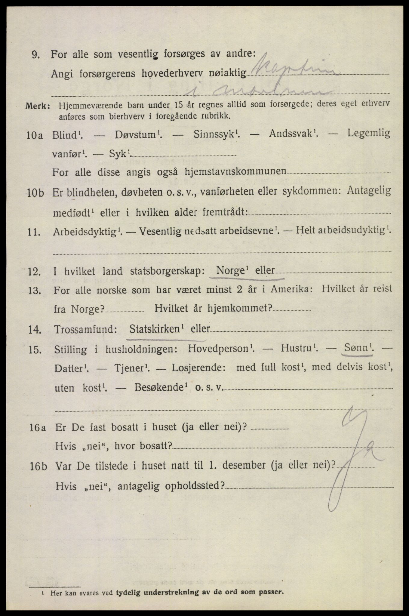 SAKO, 1920 census for Borre, 1920, p. 4941