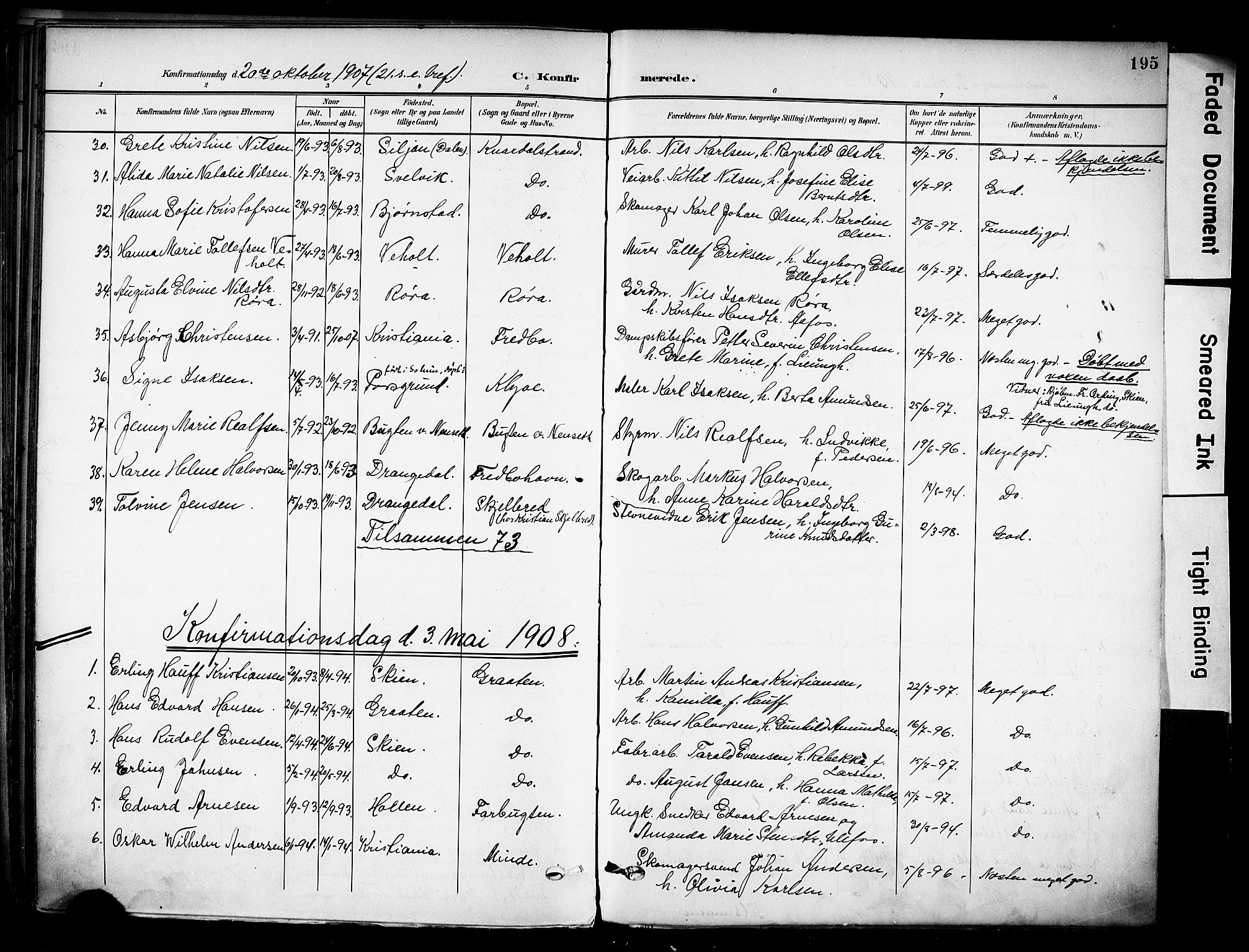 Solum kirkebøker, SAKO/A-306/F/Fa/L0011: Parish register (official) no. I 11, 1898-1909, p. 195