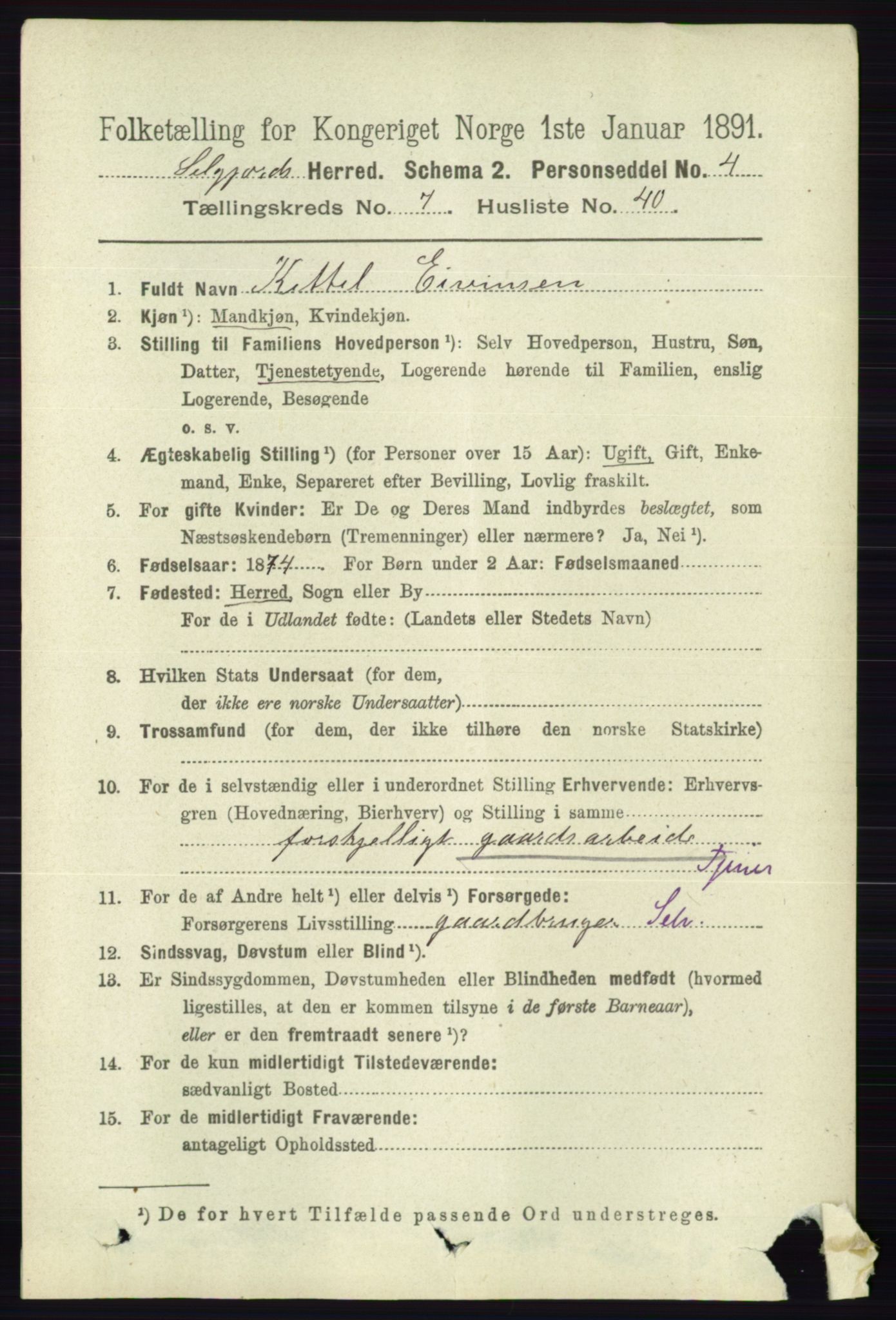 RA, 1891 census for 0828 Seljord, 1891, p. 2819