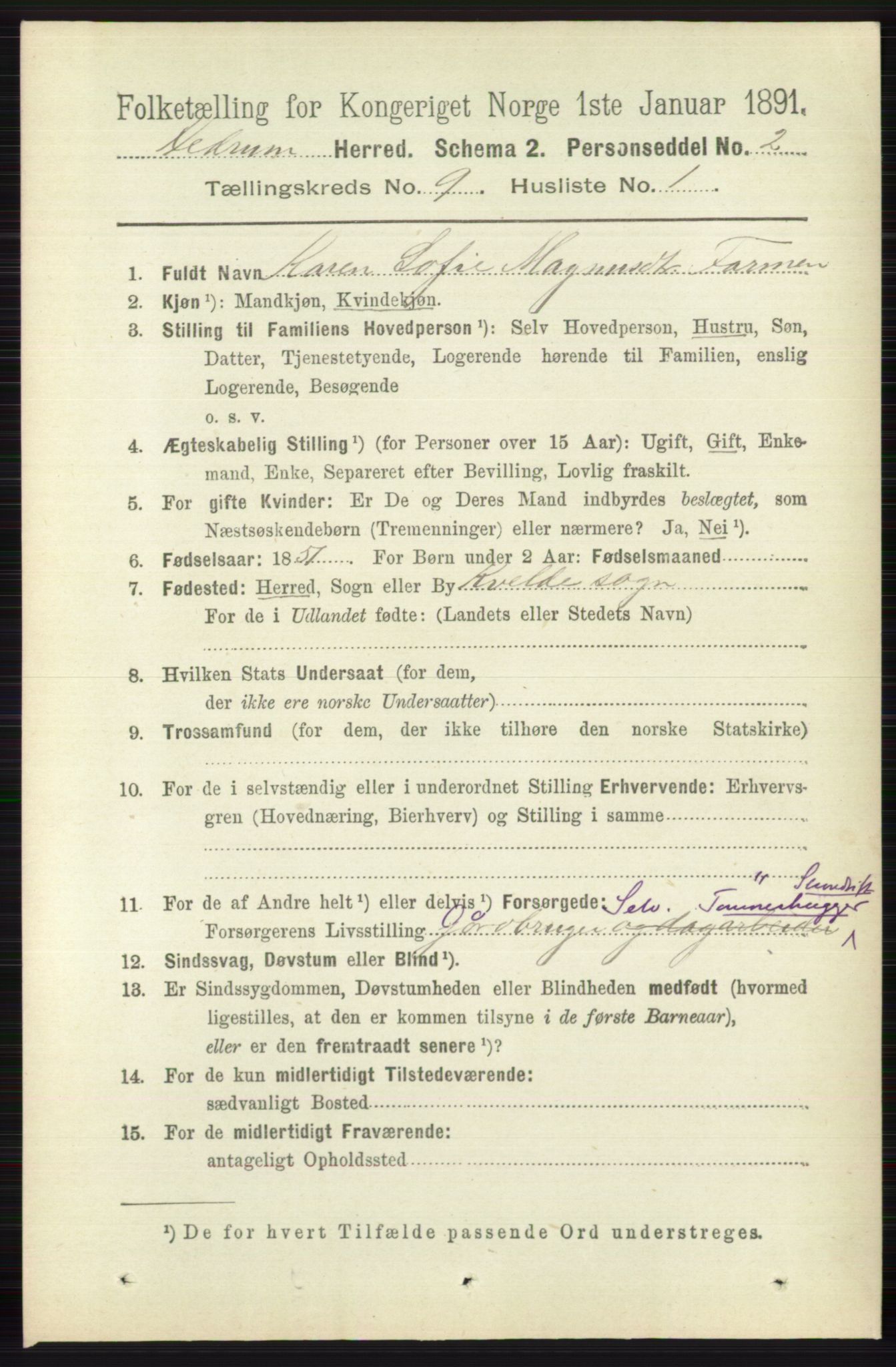 RA, 1891 census for 0727 Hedrum, 1891, p. 3918