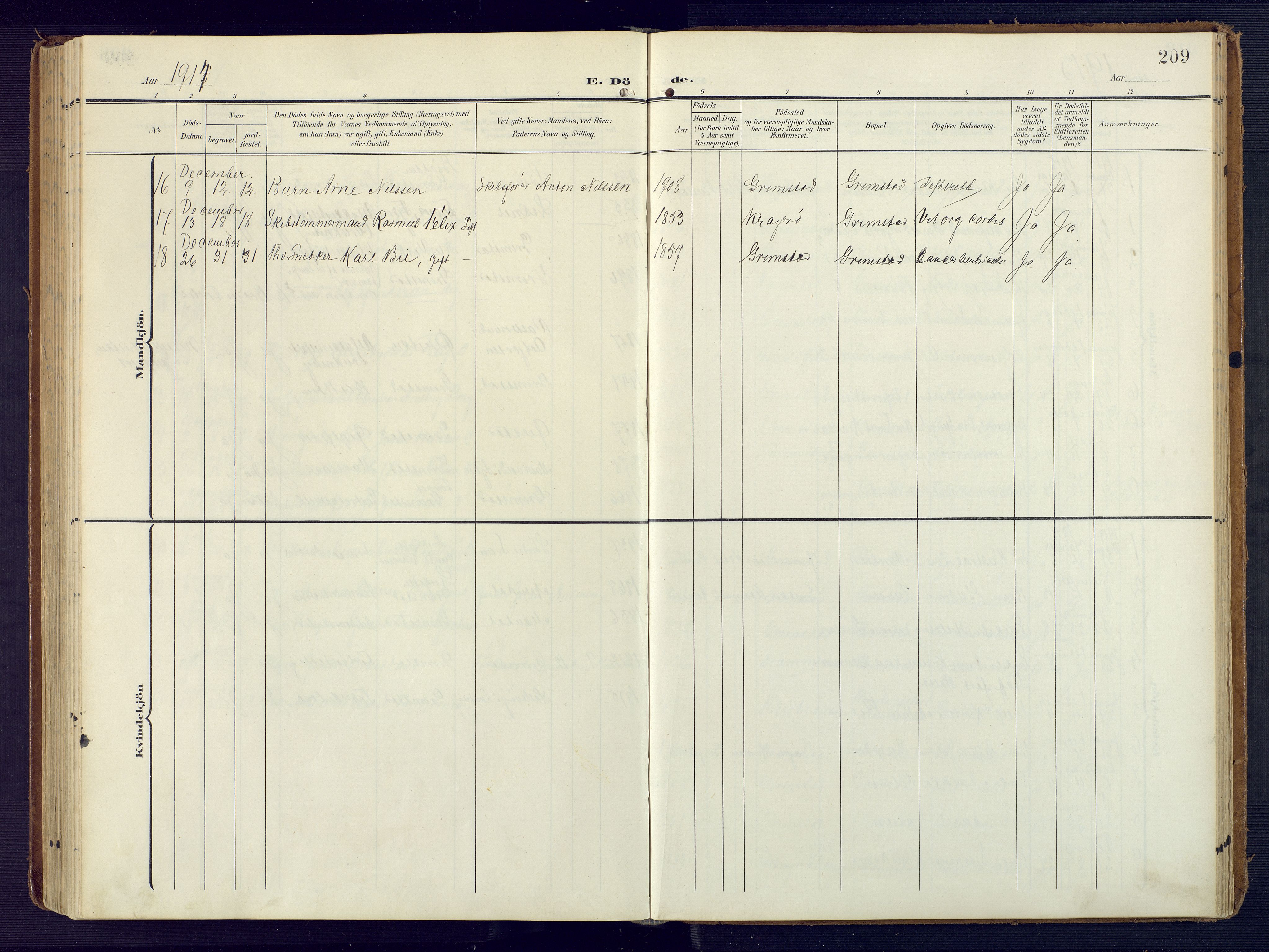 Grimstad sokneprestkontor, AV/SAK-1111-0017/F/Fa/L0005: Parish register (official) no. A 4, 1911-1924, p. 209