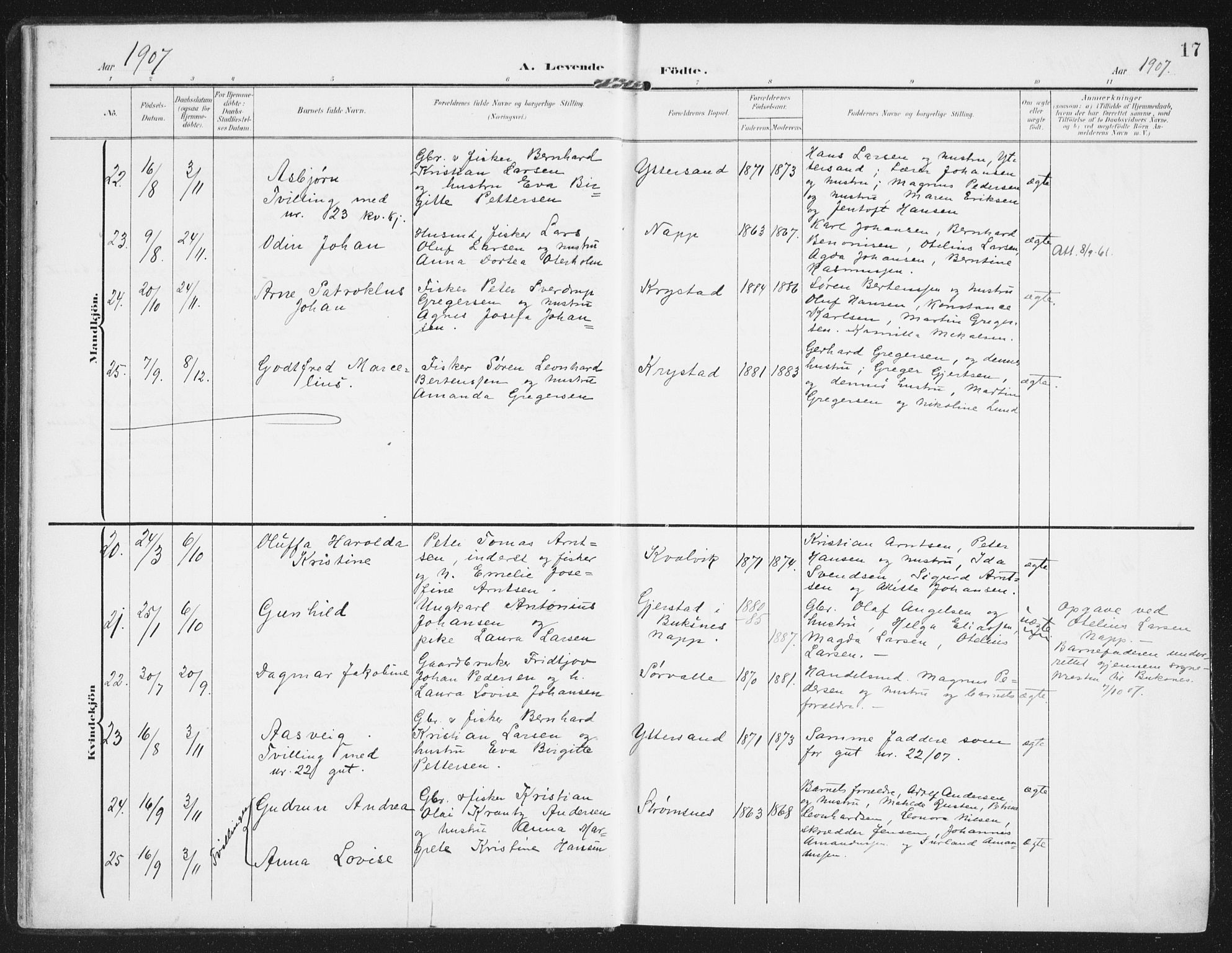 Ministerialprotokoller, klokkerbøker og fødselsregistre - Nordland, AV/SAT-A-1459/885/L1206: Parish register (official) no. 885A07, 1905-1915, p. 17