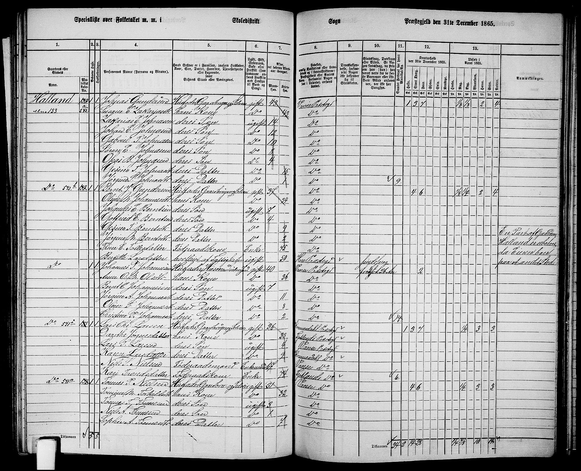 RA, 1865 census for Vanse/Vanse og Farsund, 1865, p. 206