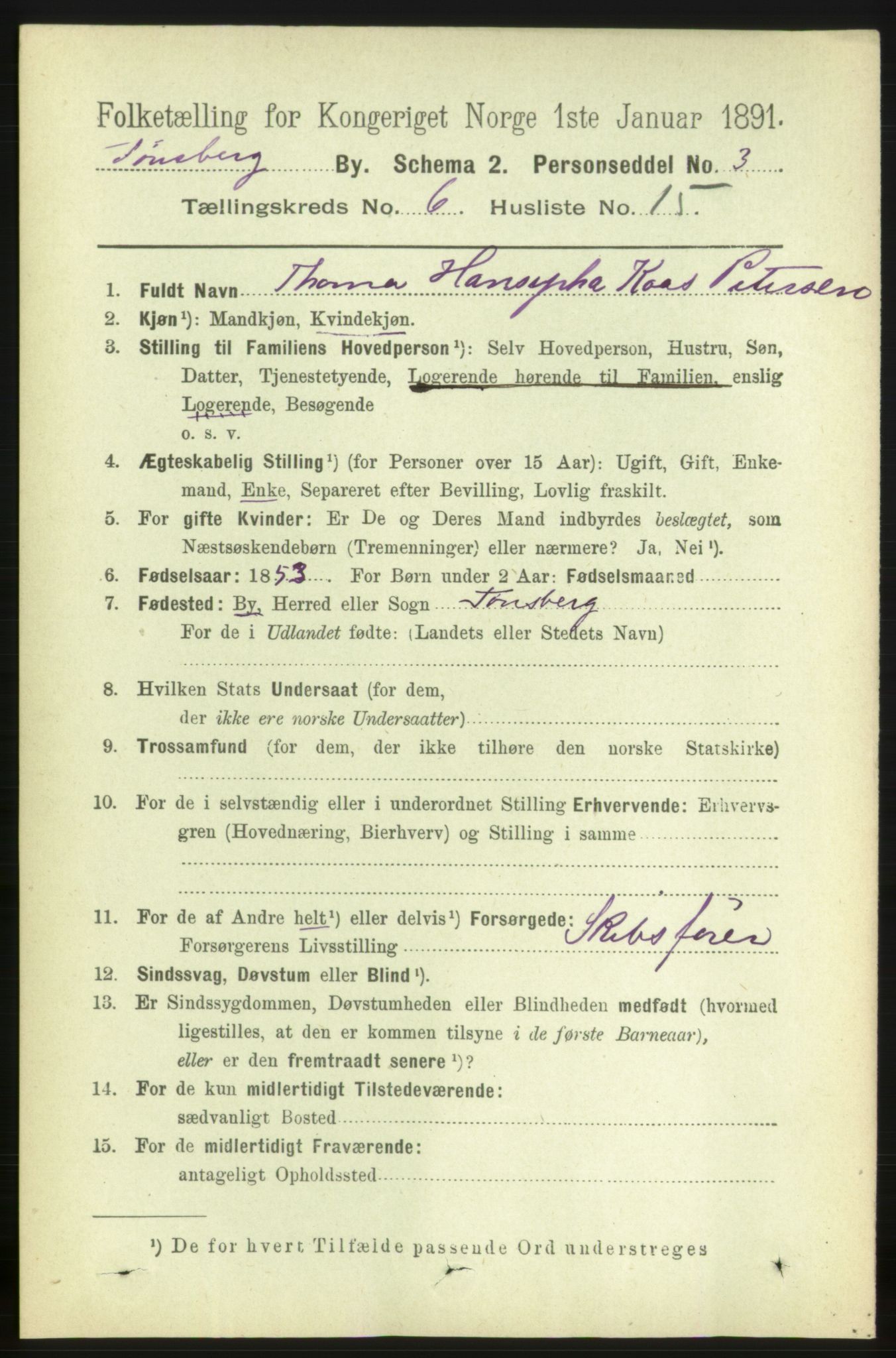 RA, 1891 census for 0705 Tønsberg, 1891, p. 2700