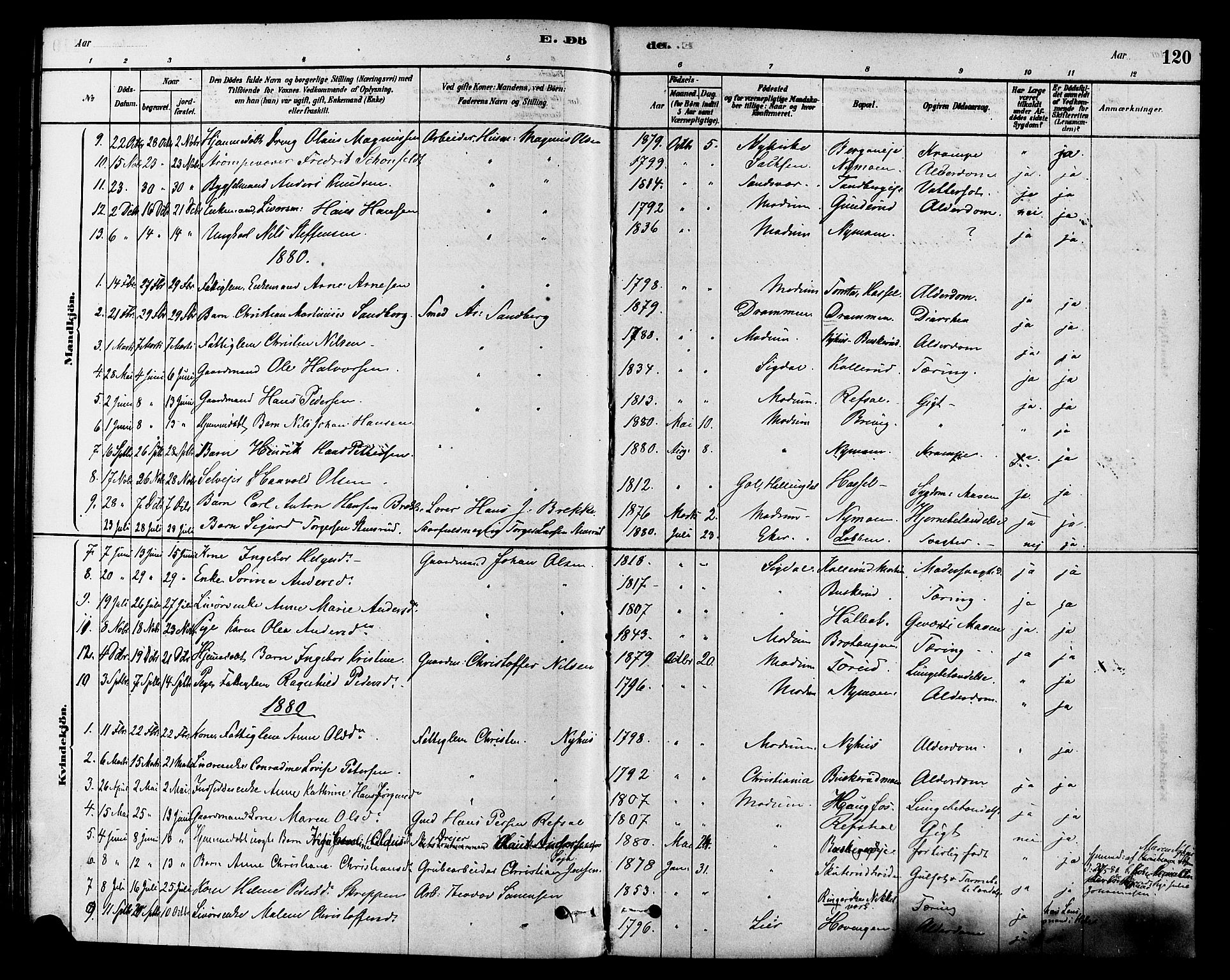Modum kirkebøker, AV/SAKO-A-234/F/Fa/L0015: Parish register (official) no. 15 /1, 1877-1889, p. 120