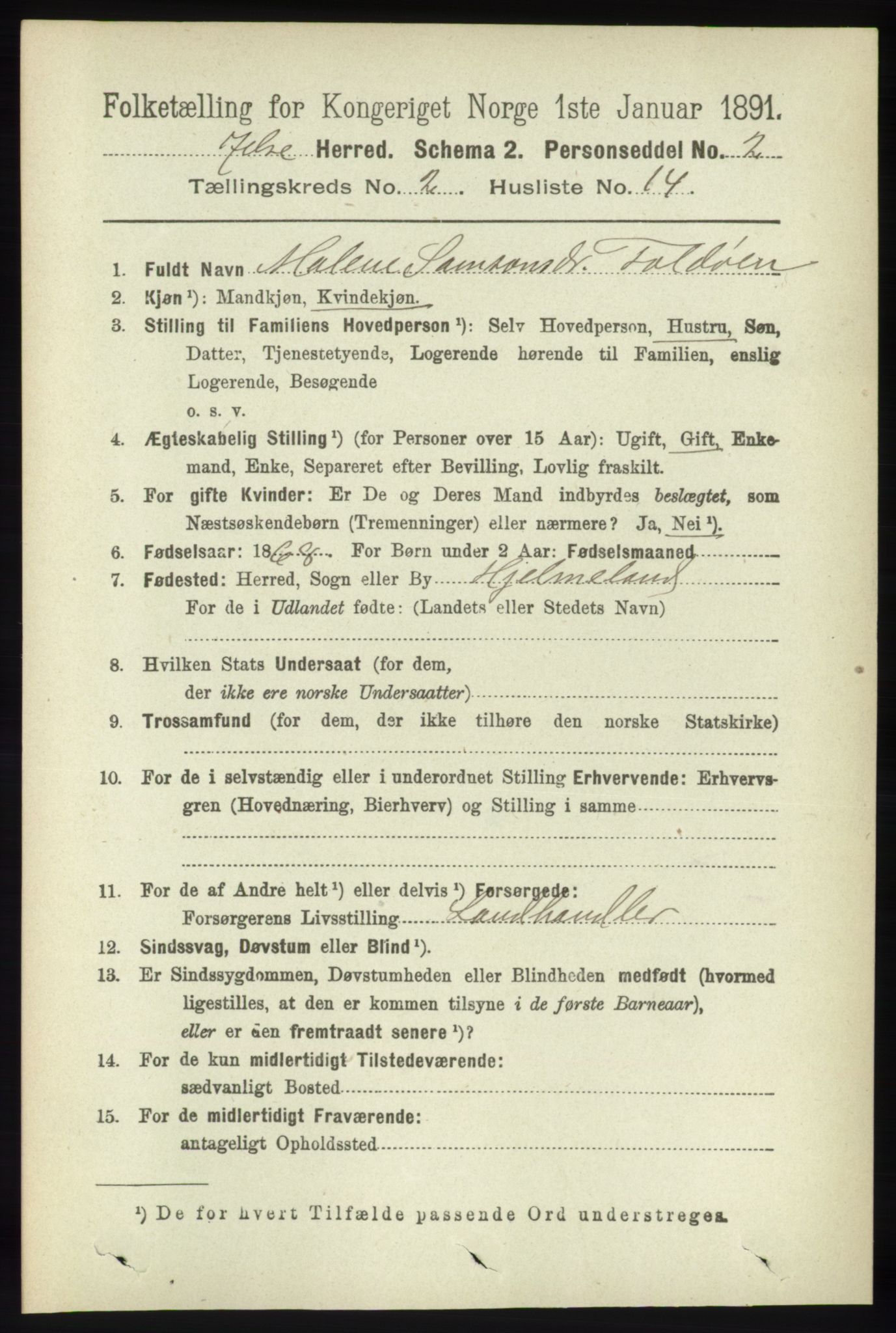 RA, 1891 census for 1138 Jelsa, 1891, p. 318