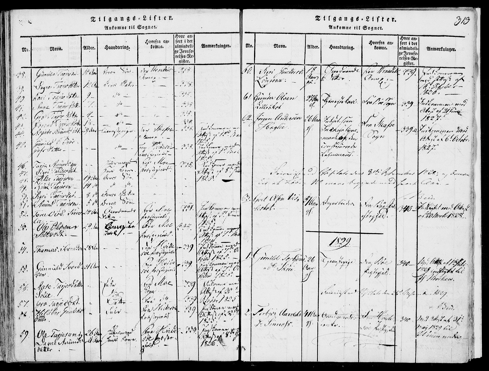 Fyresdal kirkebøker, SAKO/A-263/F/Fb/L0001: Parish register (official) no. II 1, 1815-1854, p. 313