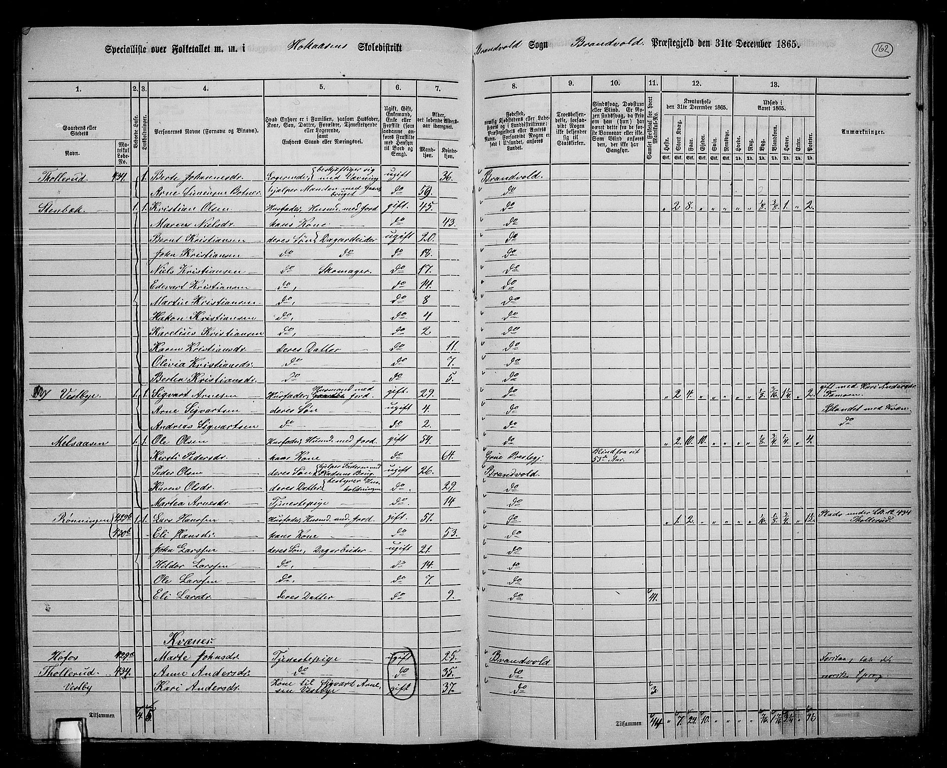 RA, 1865 census for Brandval, 1865, p. 139