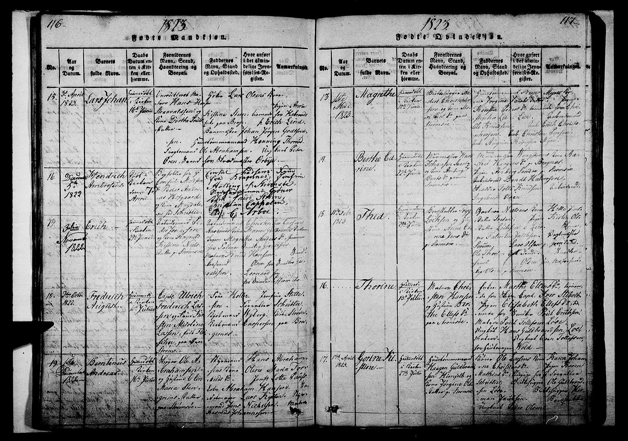 Strømsø kirkebøker, AV/SAKO-A-246/G/Ga/L0001: Parish register (copy) no. 1, 1815-1829, p. 116-117